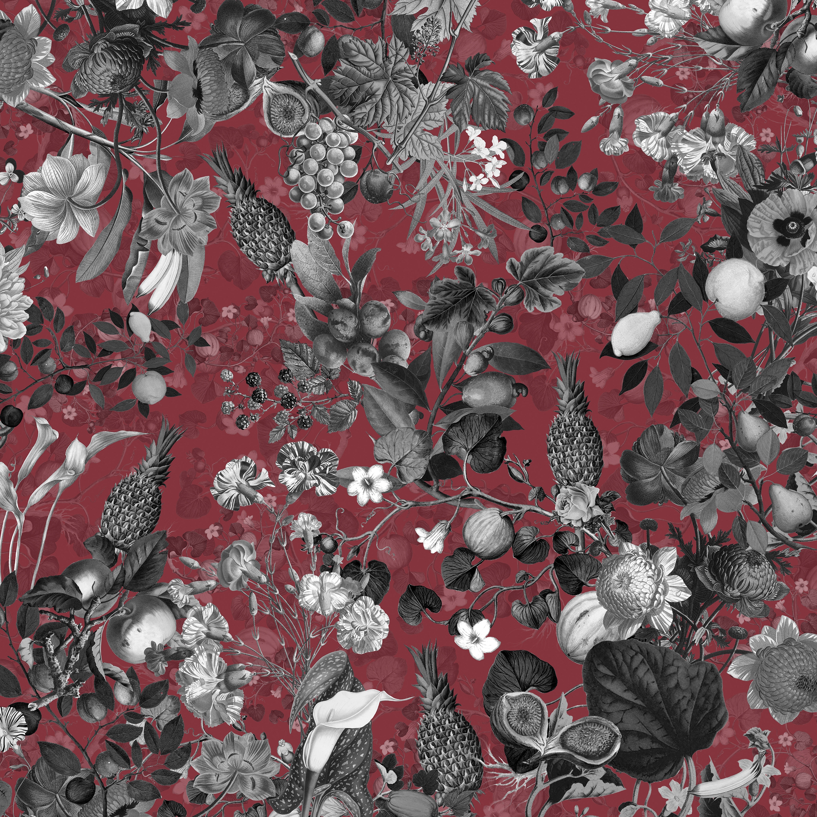 Vito Nesta | Botanica