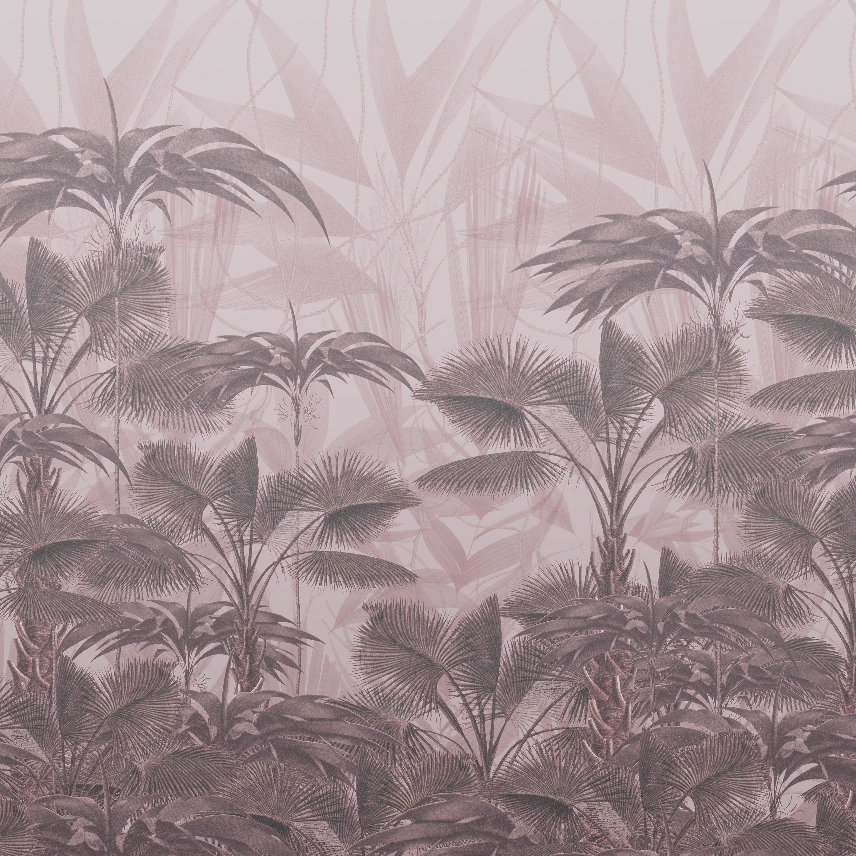 Vertoon produk Vito Nesta | Casablanca van vervaardiger Devon&Devon