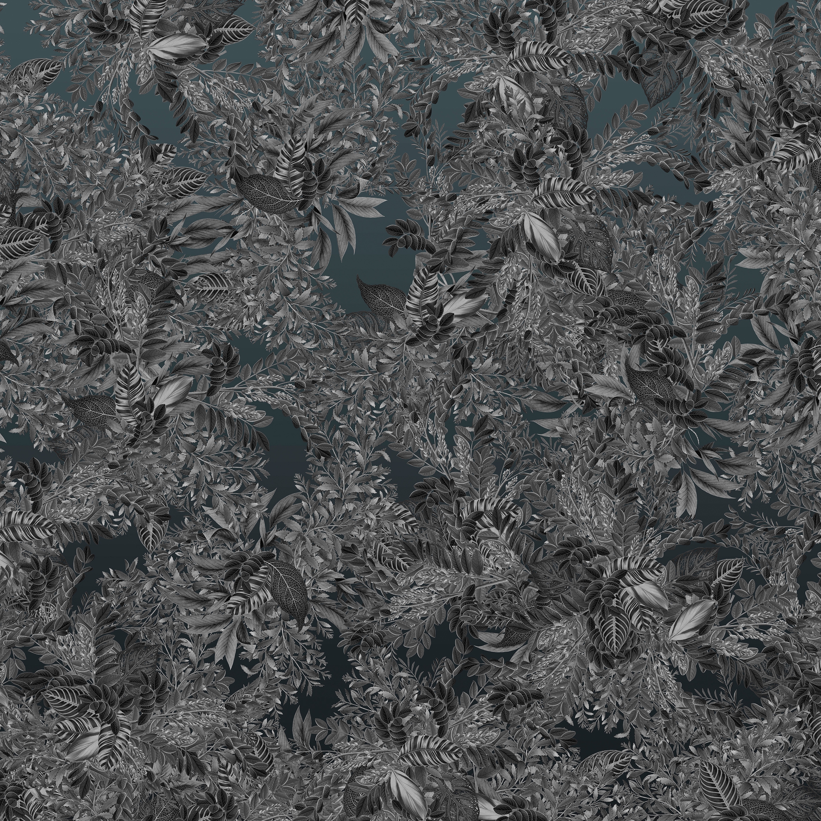 Vito Nesta | Giacarta