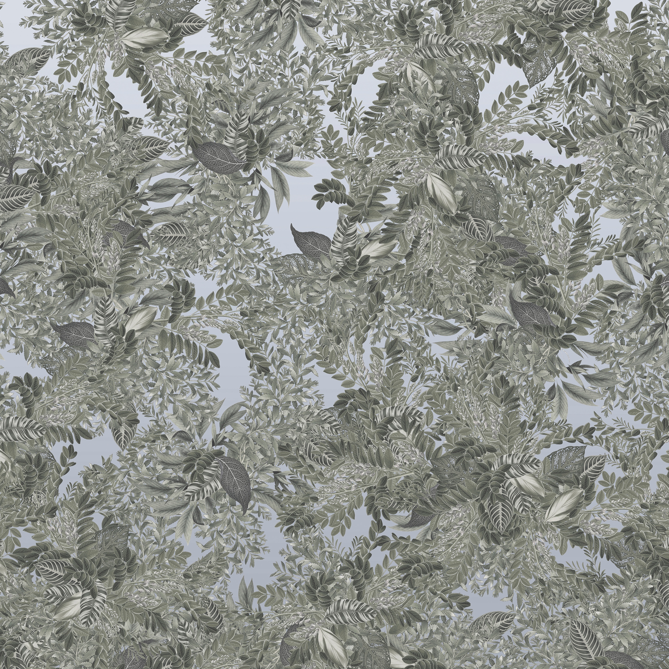 Vito Nesta | Giacarta