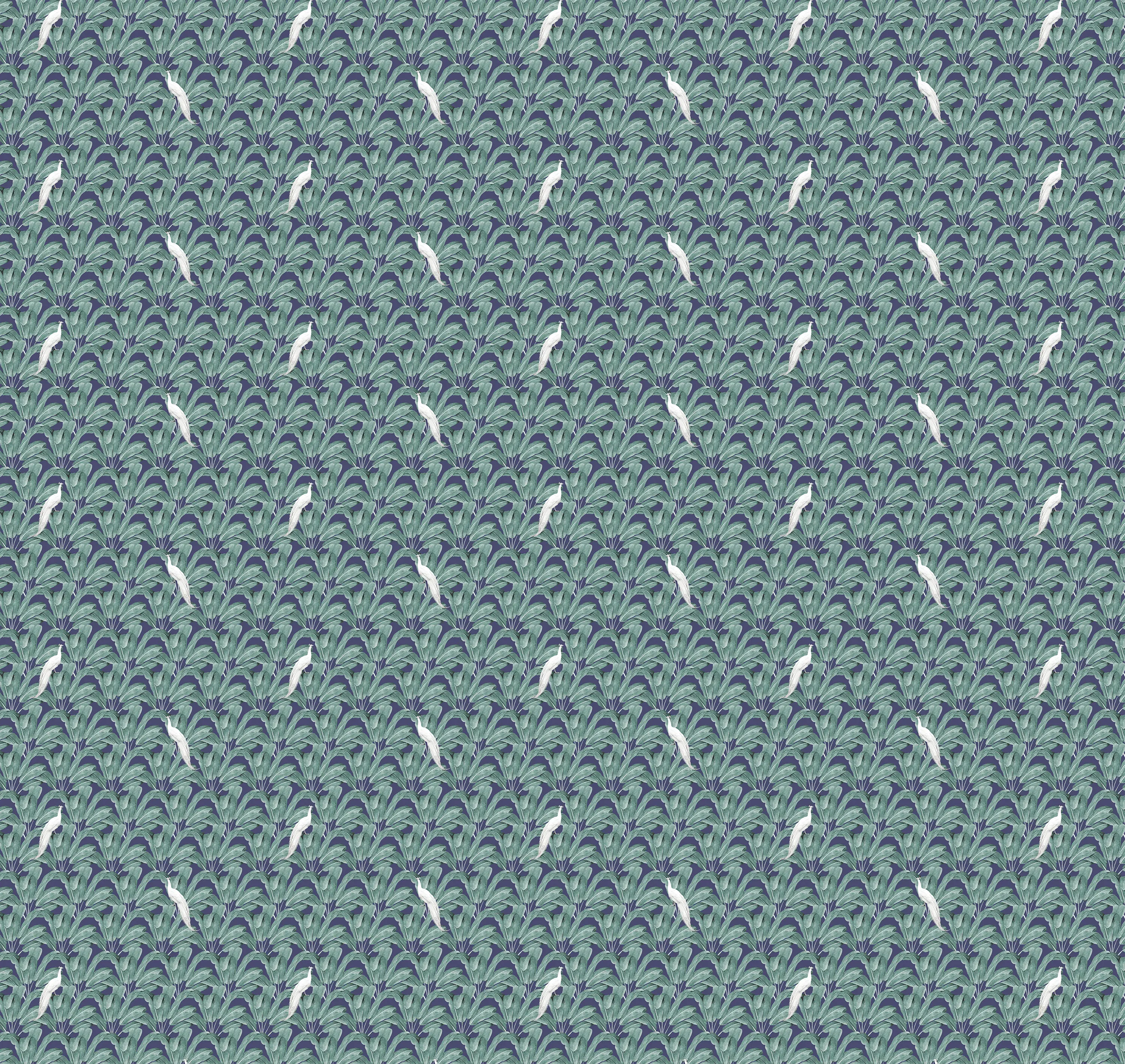 Devon&Devon - Vito Nesta | Paradisea