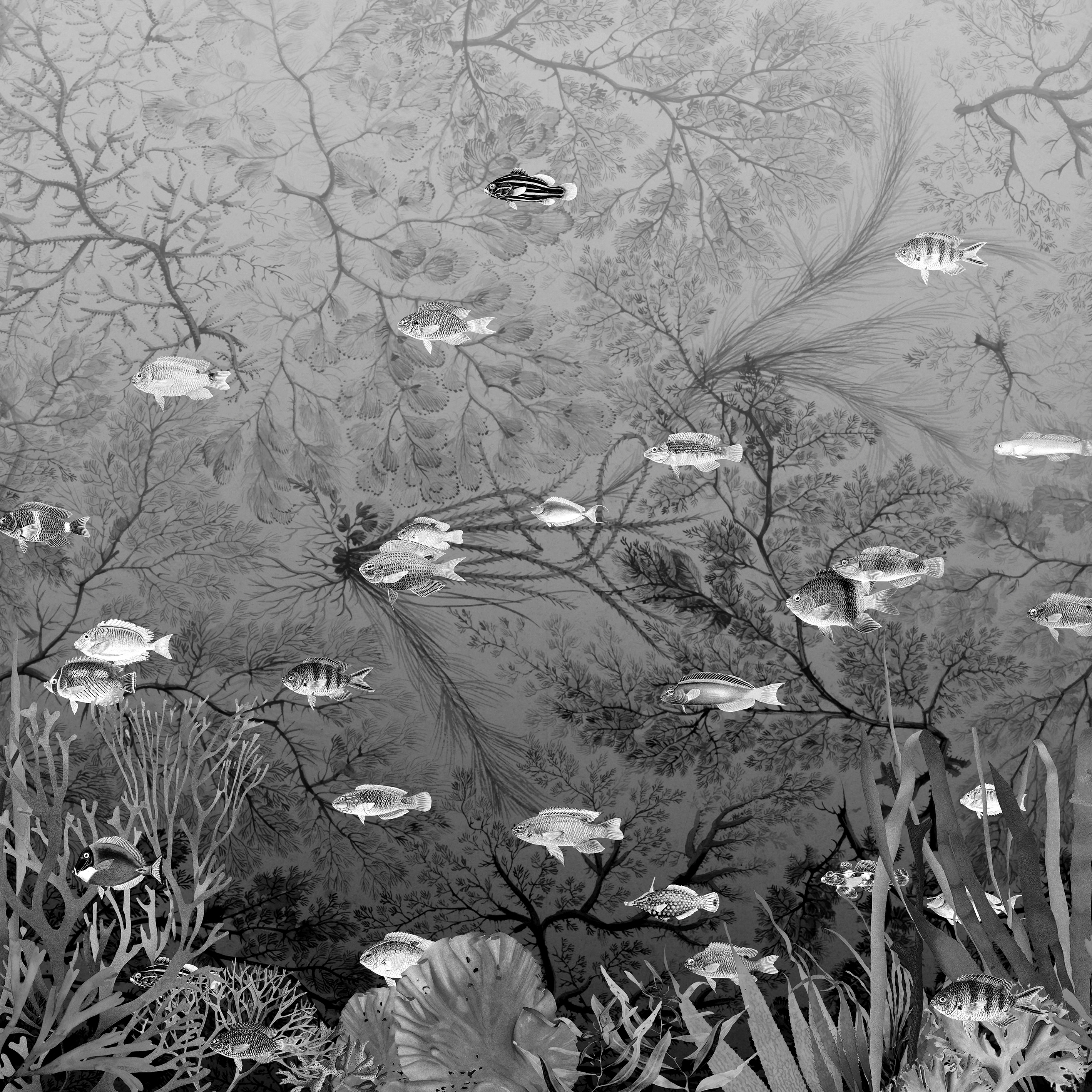 Vertoon produk Vito Nesta | Samoa van vervaardiger Devon&Devon