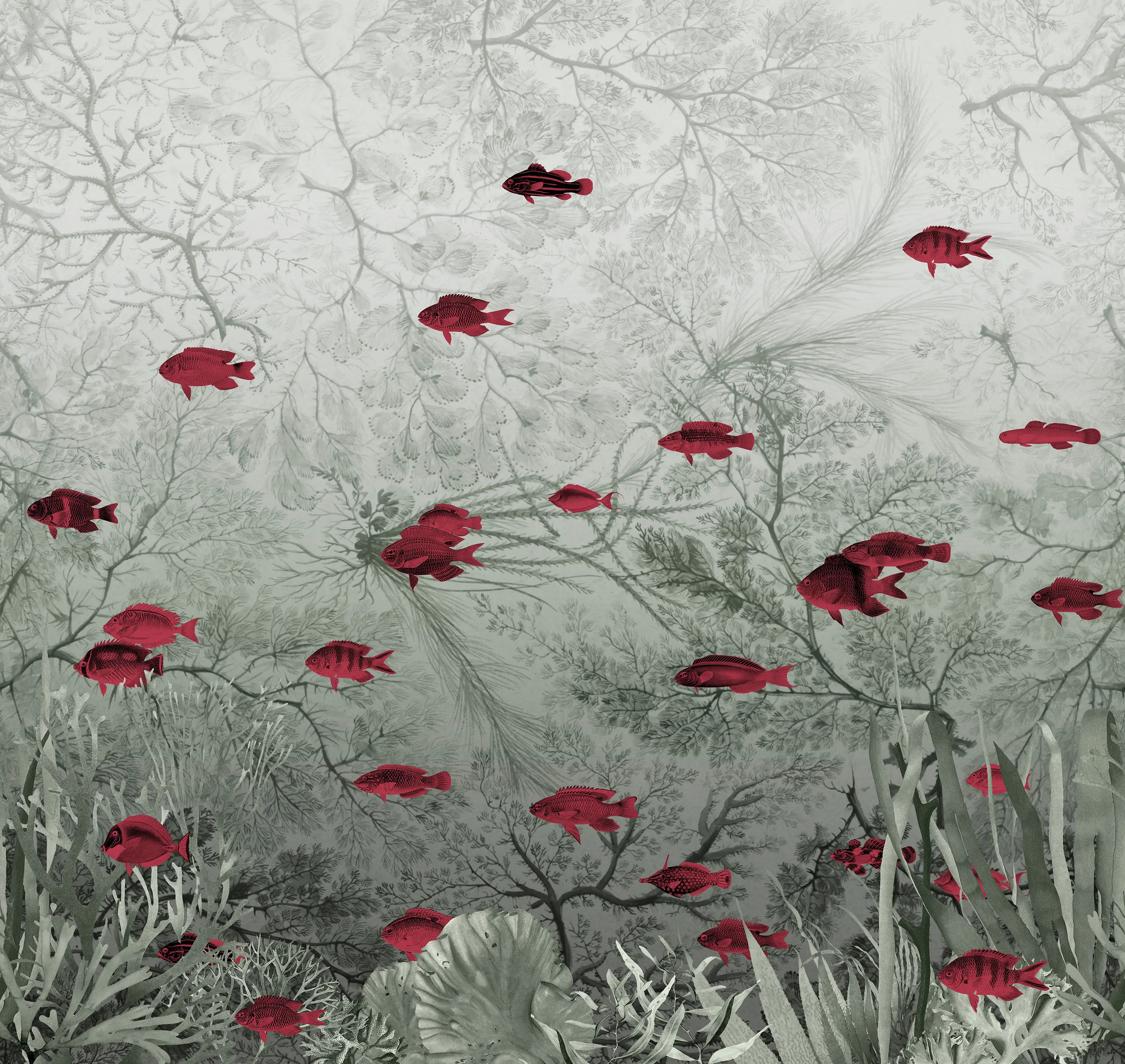 Devon&Devon - Vito Nesta | Samoa