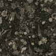 Wallpaper Gold | Botanica Black&White Gold Leaf
