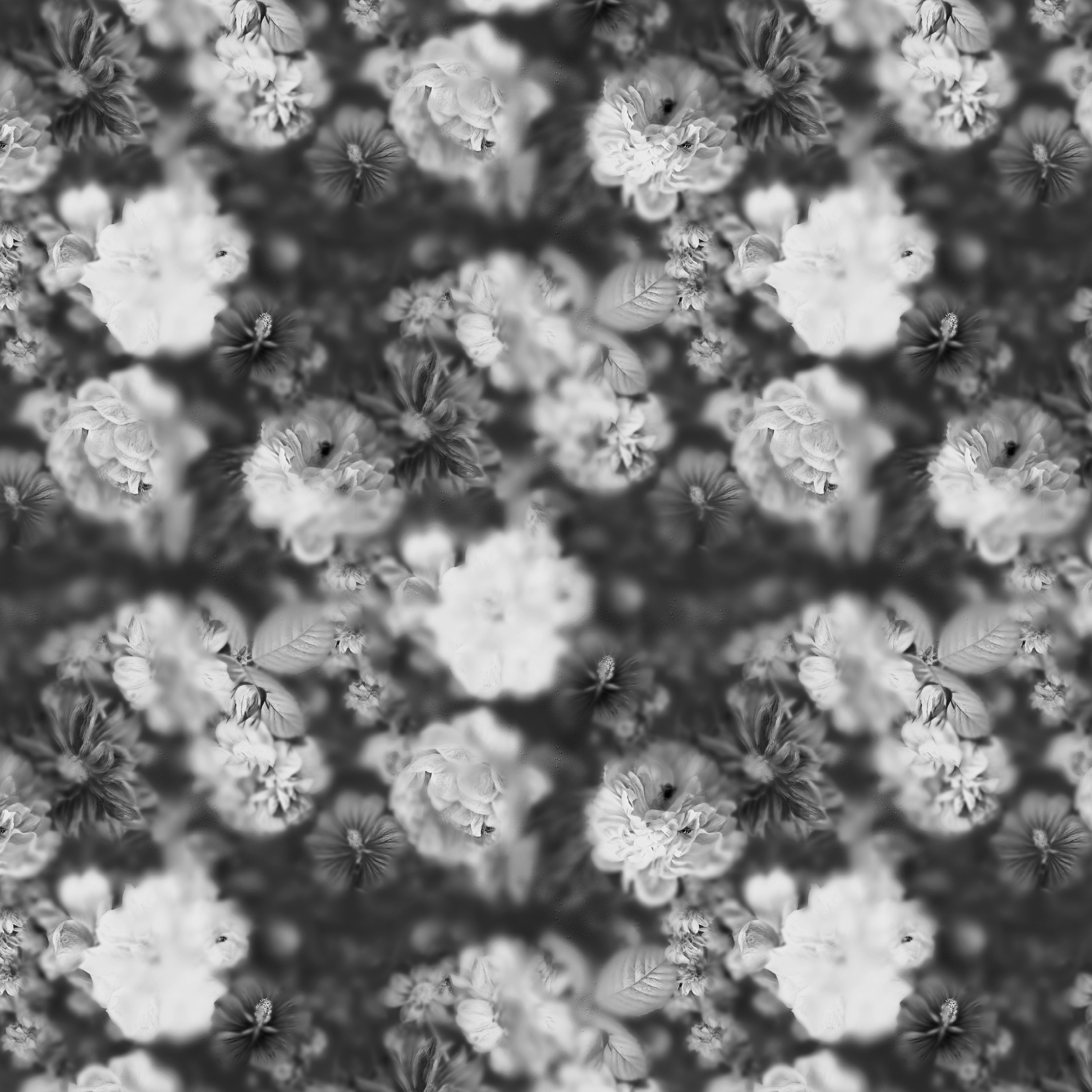 Carta da parati Blossom Black&White