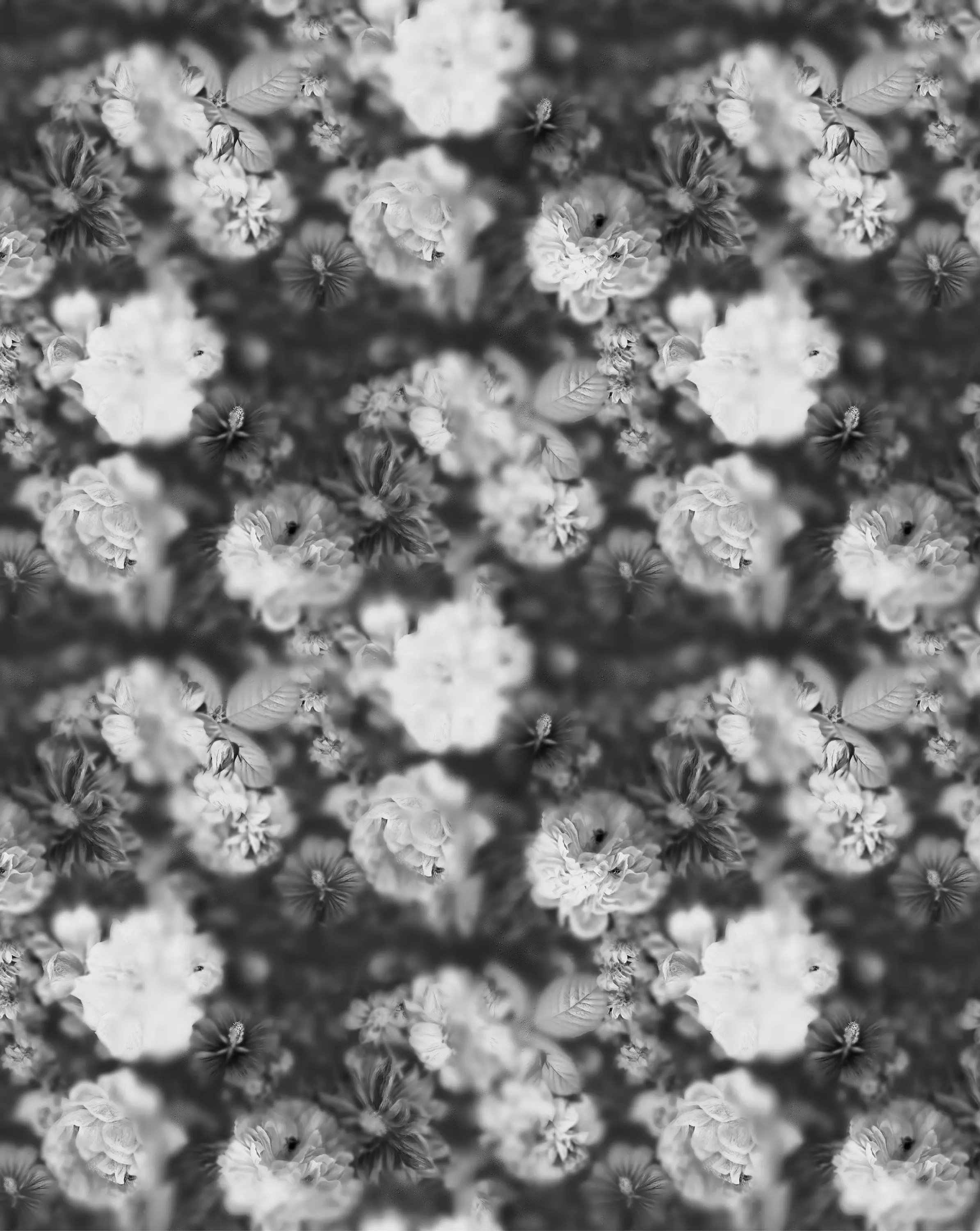 Devon&Devon - Blossom Black&WhiteWallpaper
