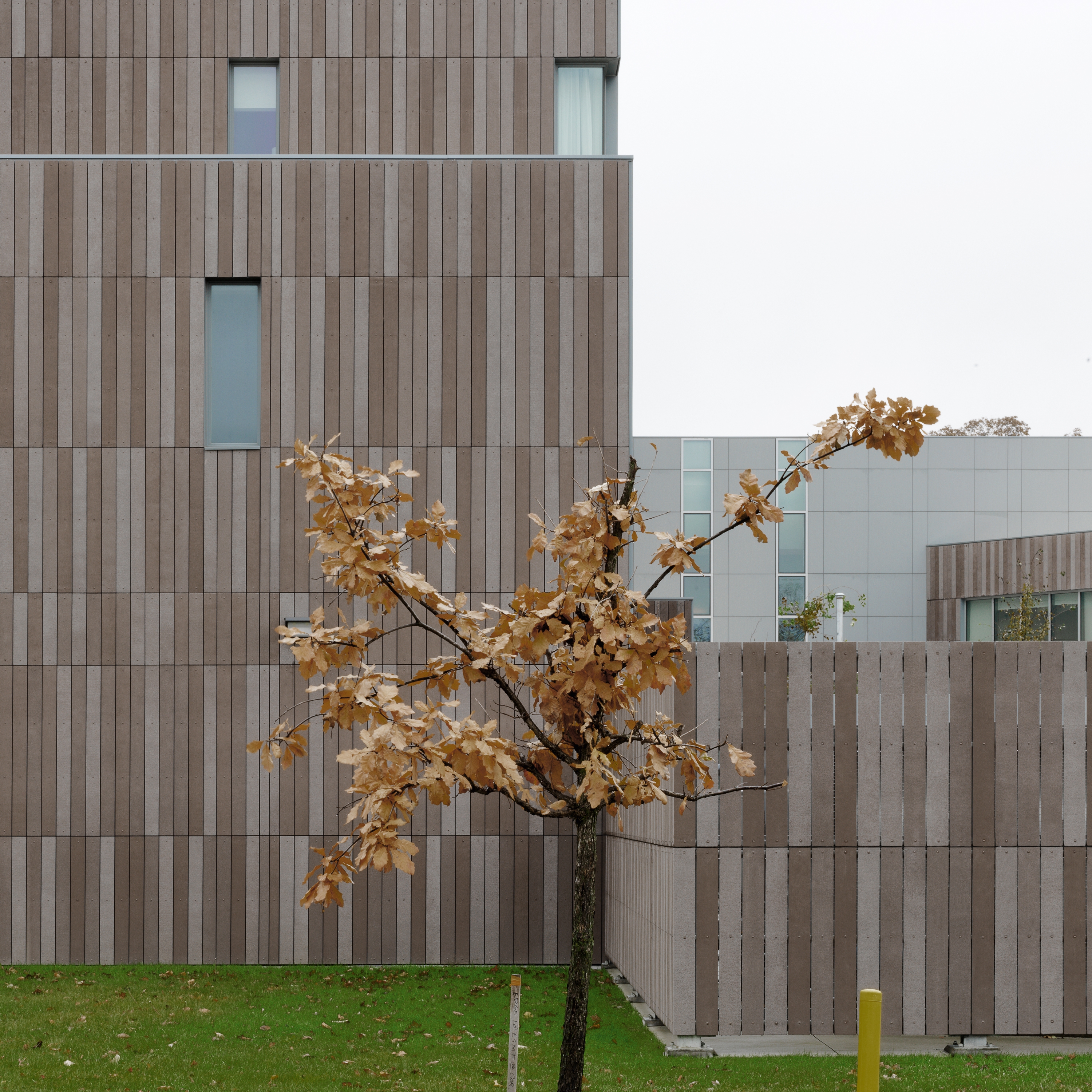 öko skin | Oberlin Gateway Center