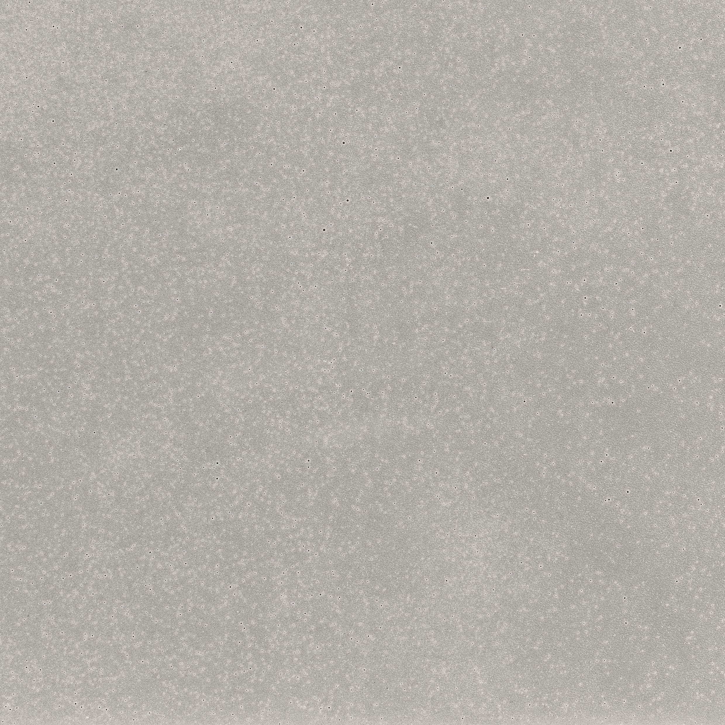 Display product standard | ivory | matt from manufacturer Rieder