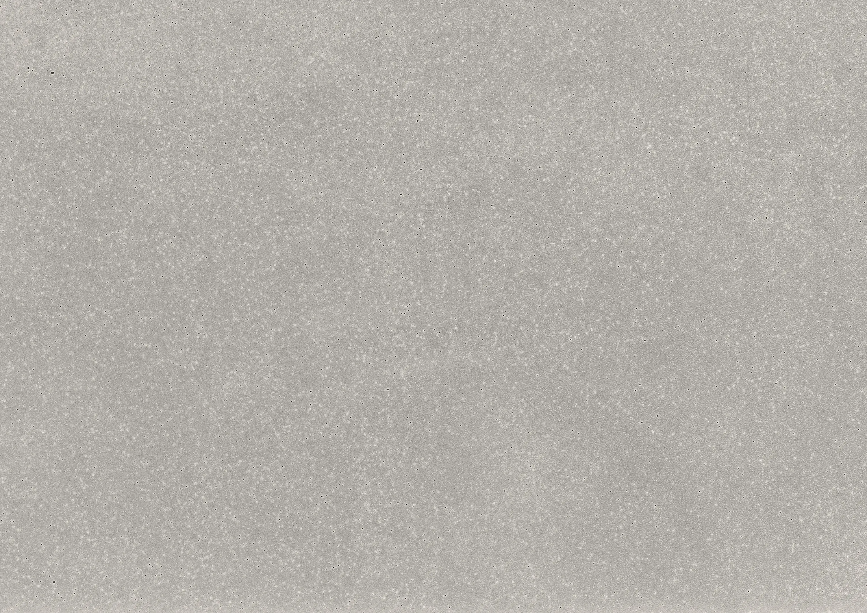 Rieder - standard | ivory | matt