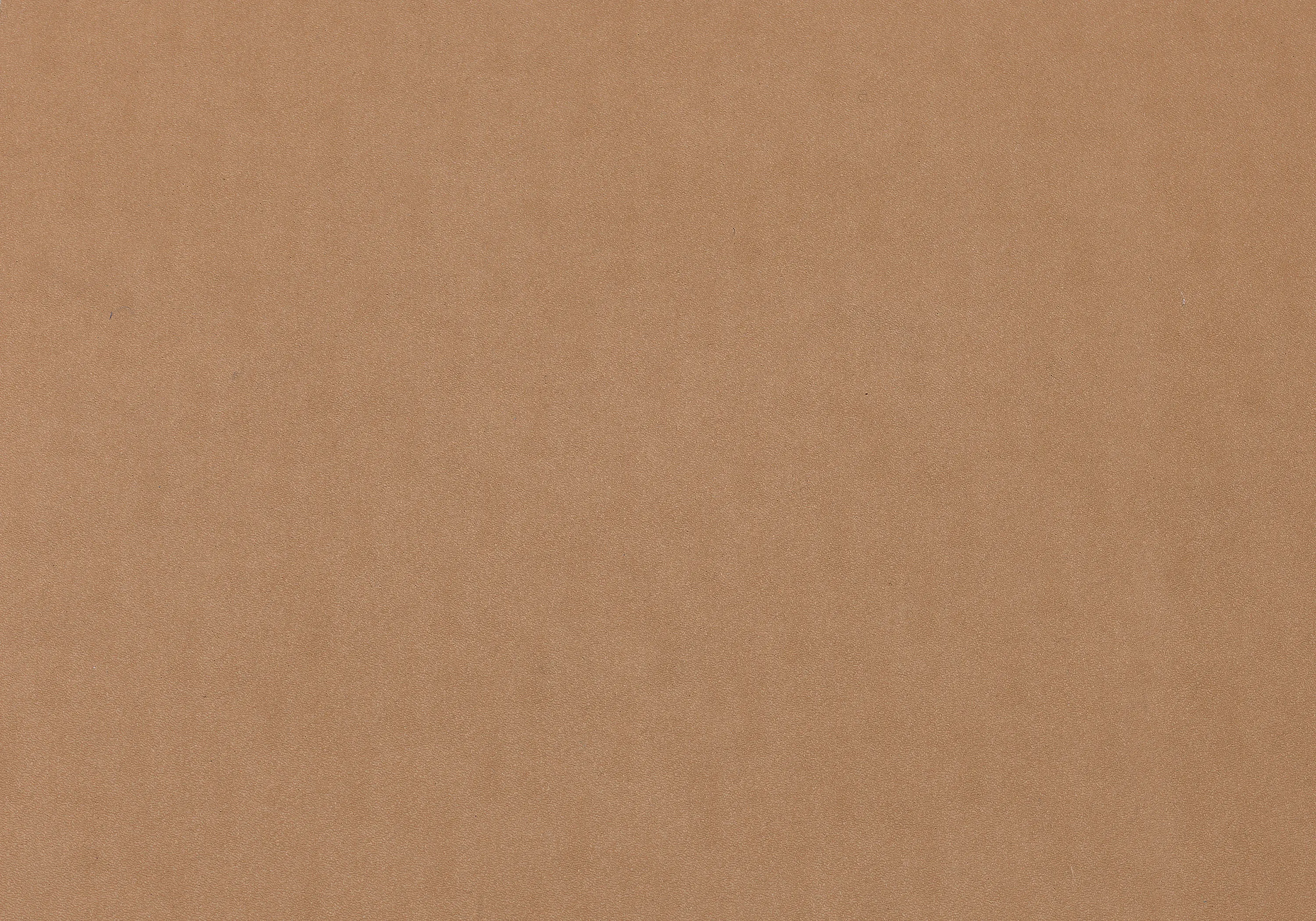 Rieder - standard | larch | matt