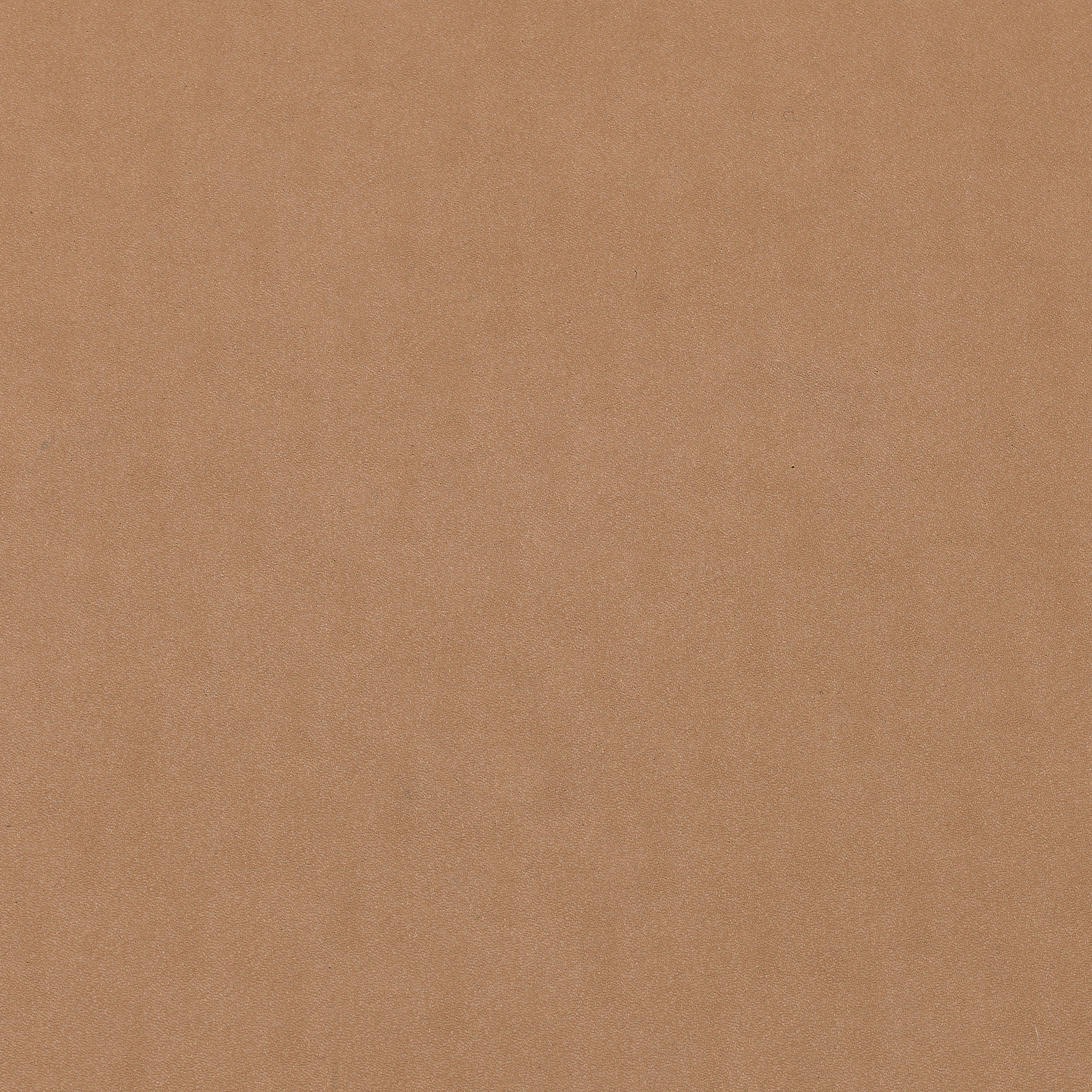 Mostrar el producto standard | larch | matt del fabricante Rieder