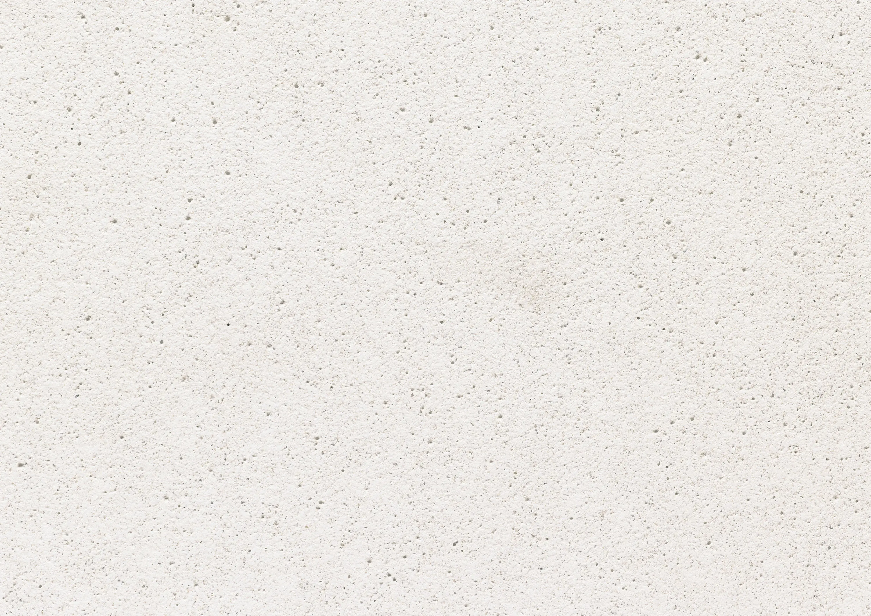 Rieder - standard | polar white | ferro