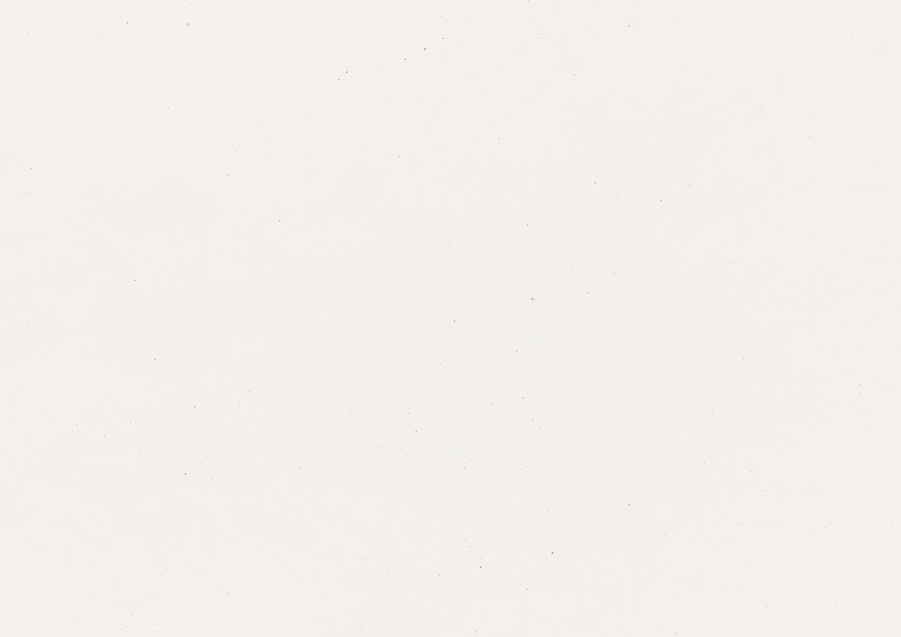 Rieder - standard | polar white | matt