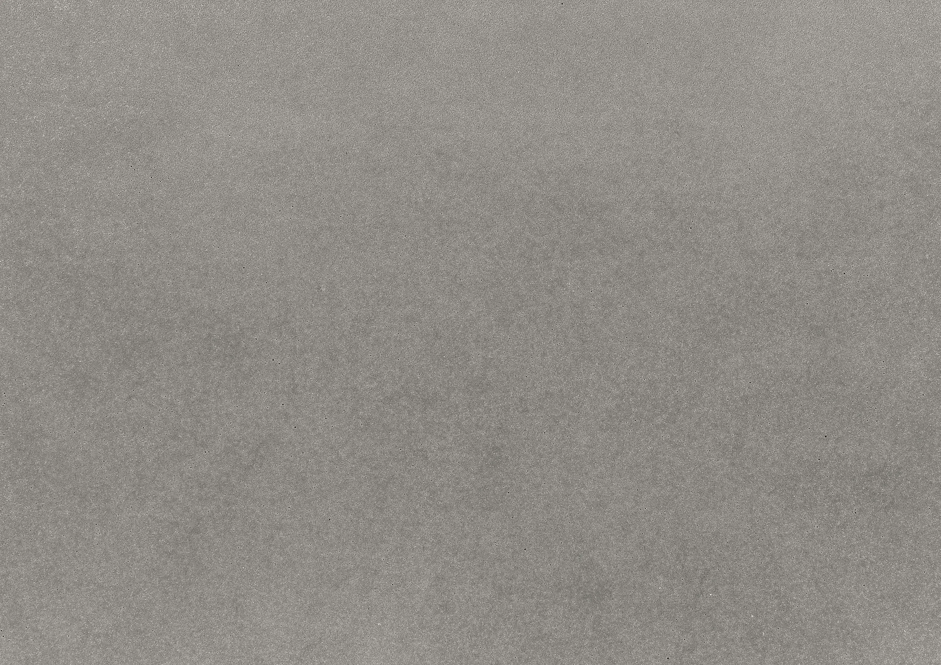 Rieder - standard | silvergrey | matt