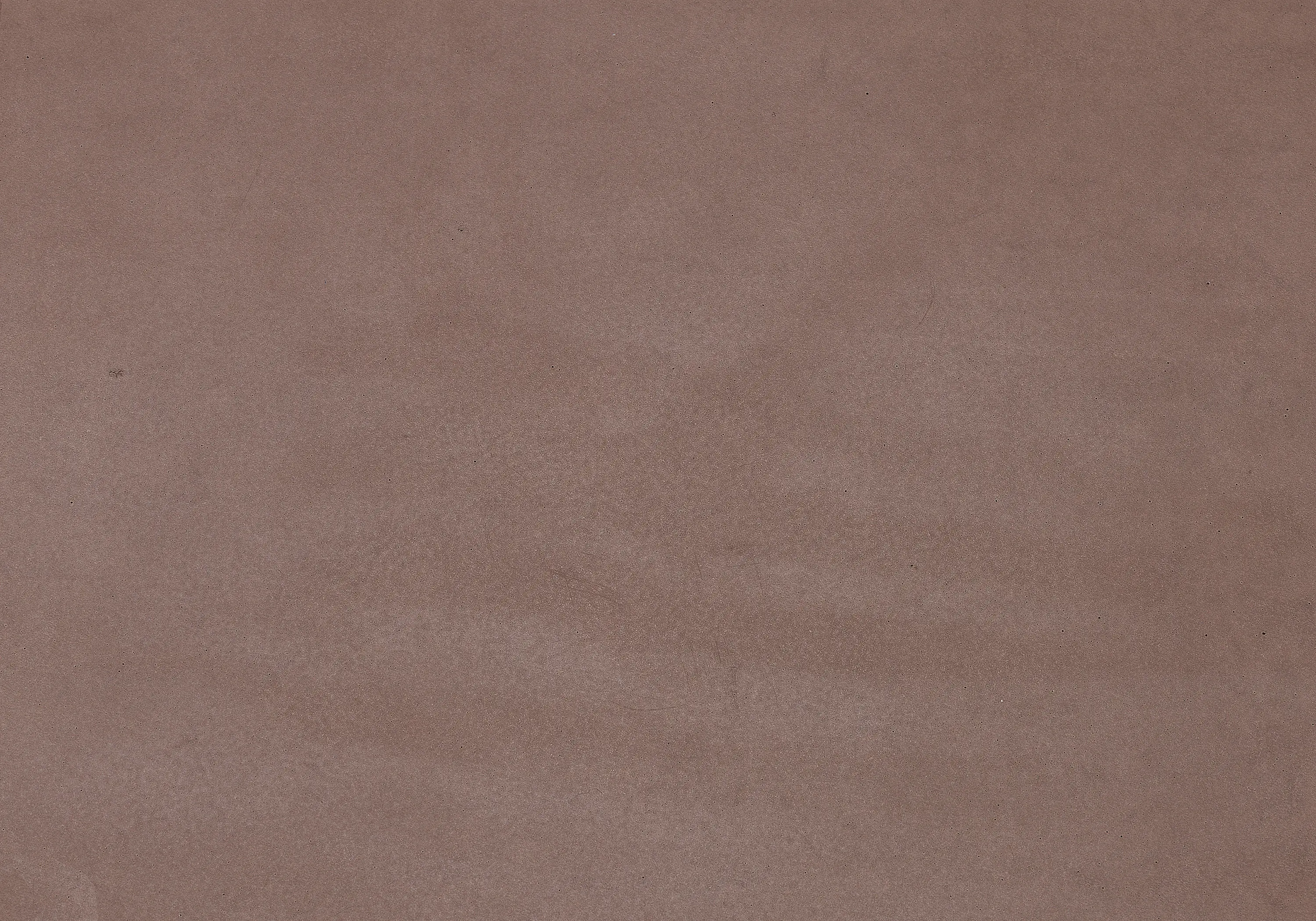 Rieder - standard | terra | matt