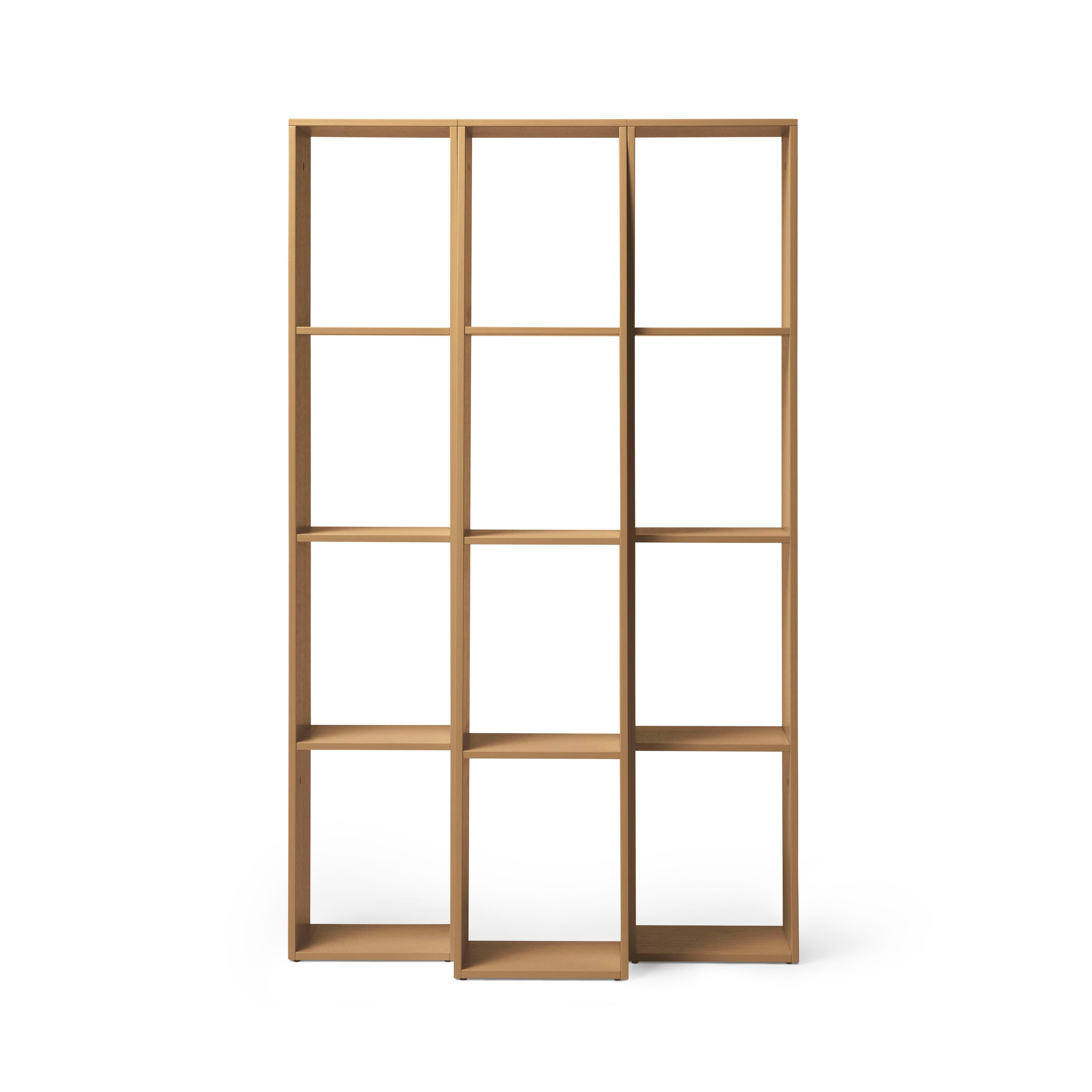 Endless Book Shelf
