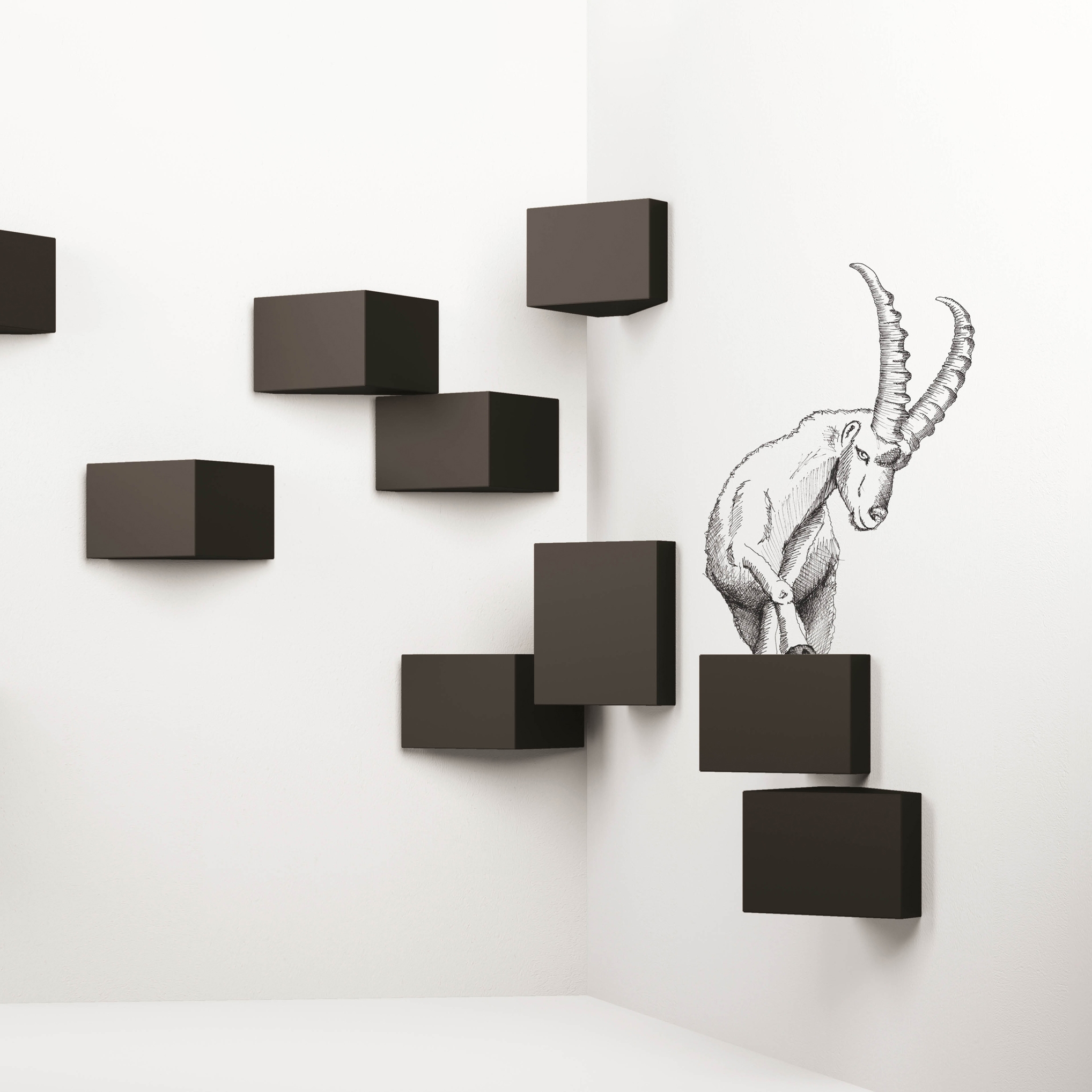 Display product ANG from manufacturer minottiitalia