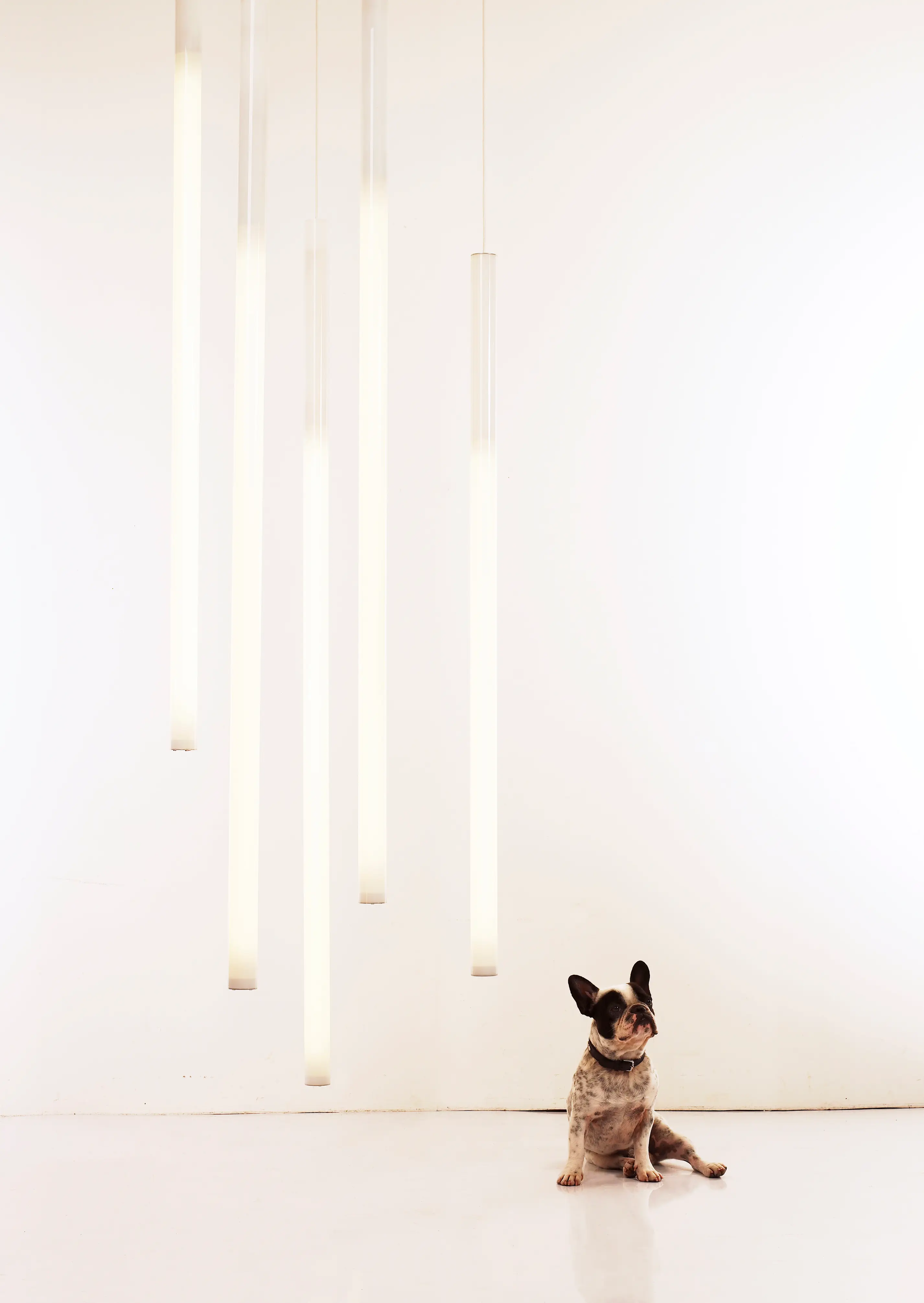 lichtprojekte - Tube Pendel V