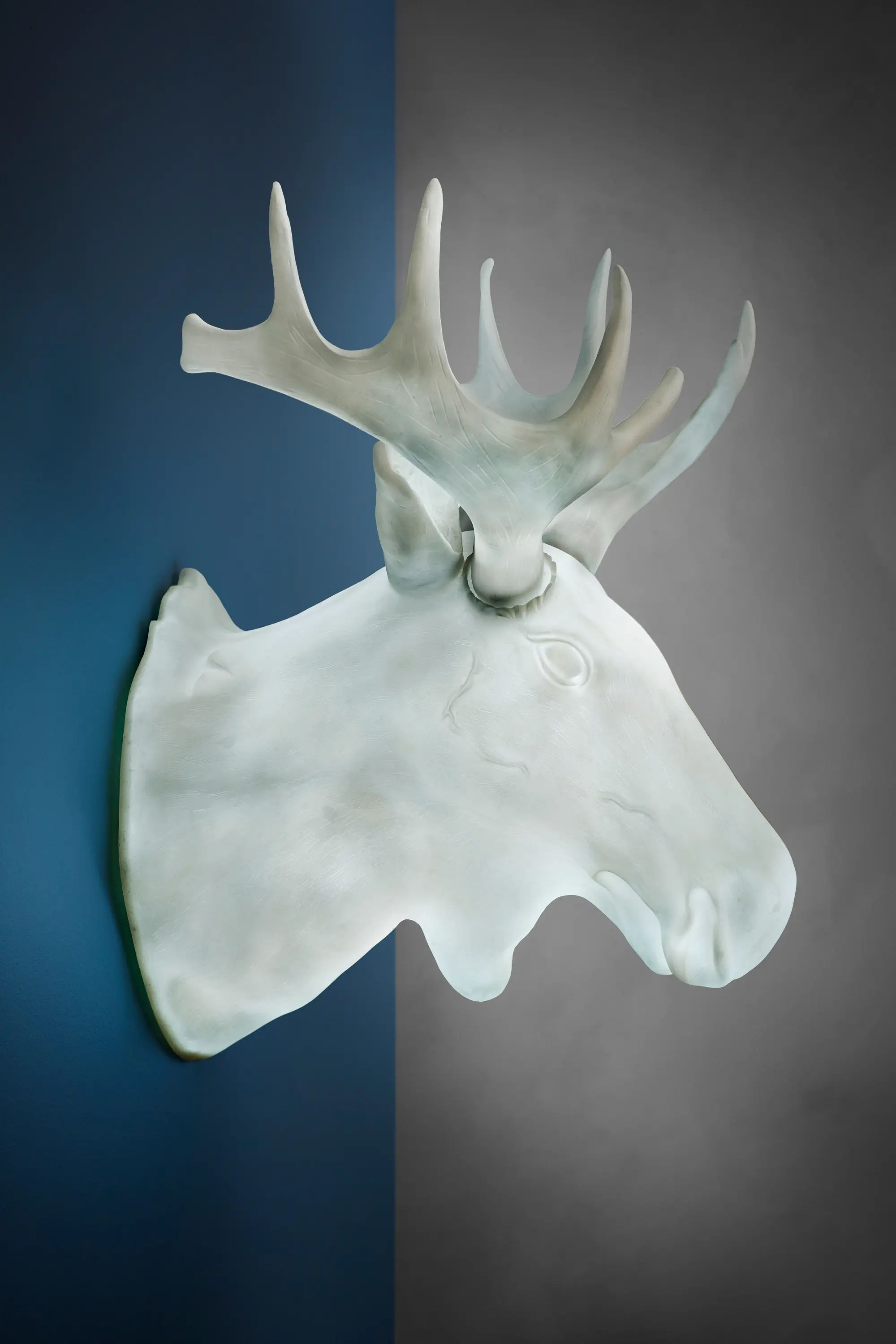 Northern - Moo
