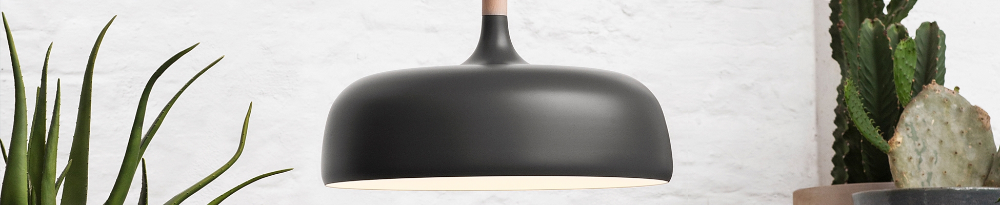 Descubrir el mundo del fabricante Northern