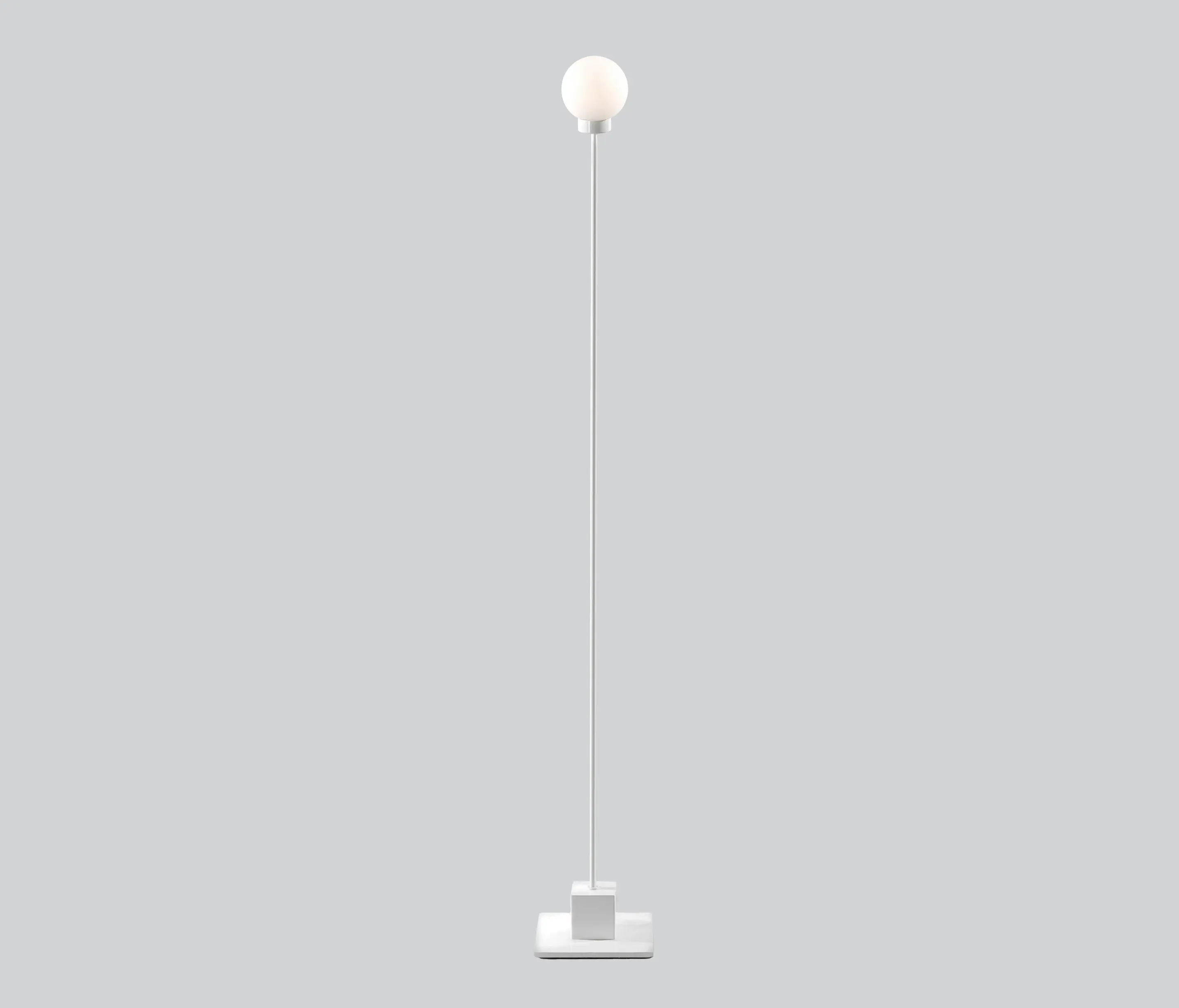 Northern - Snowball
