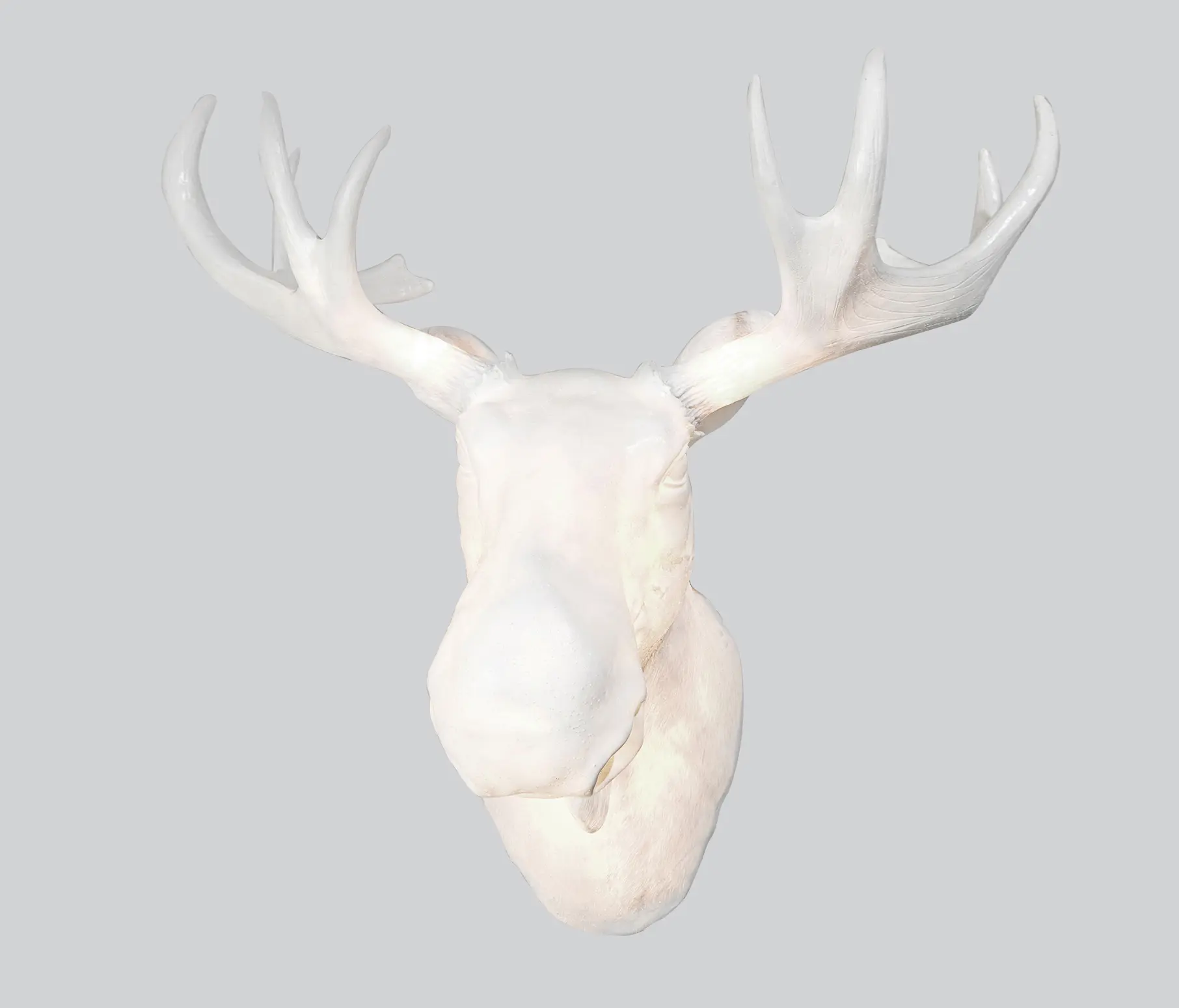 Northern - Moo