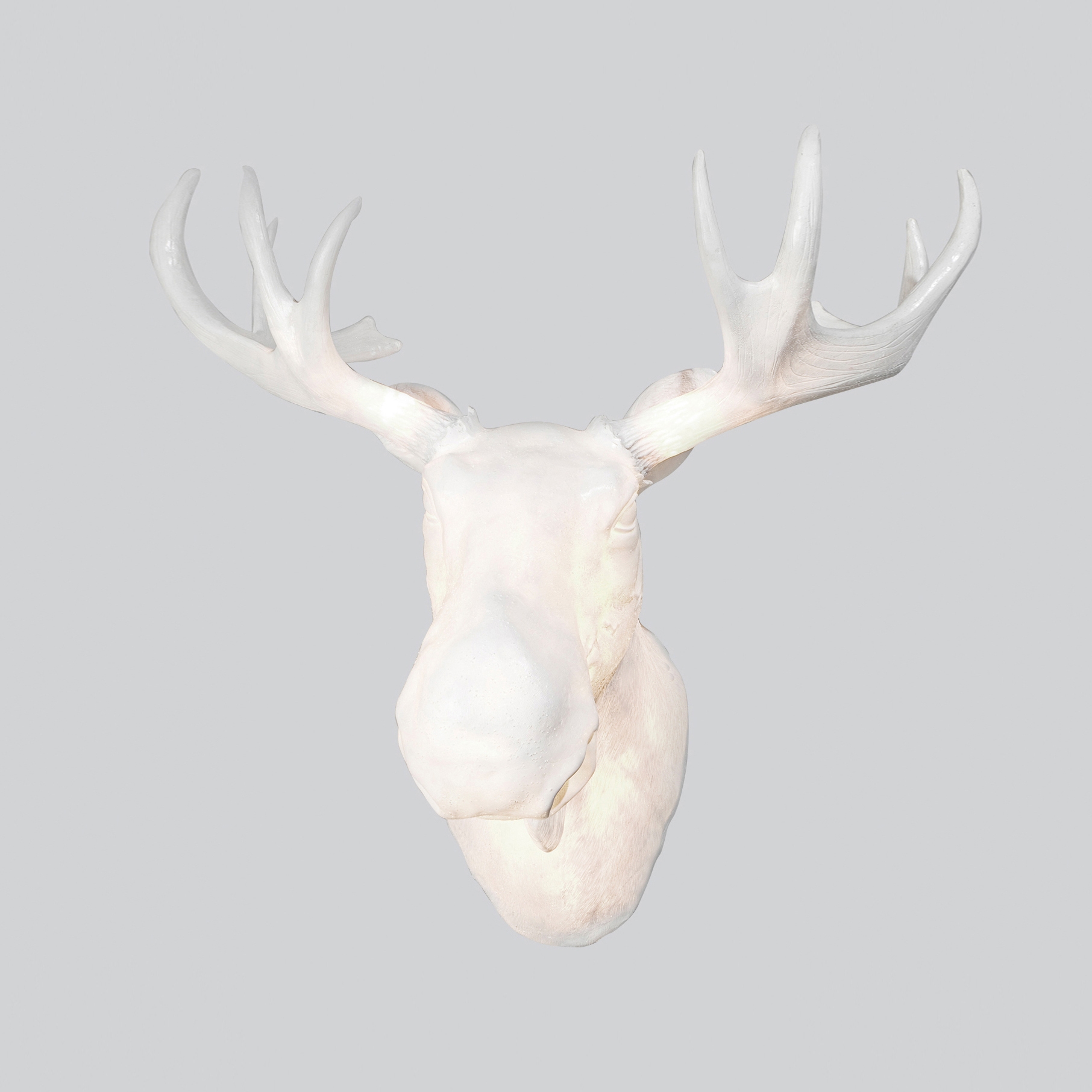 Afficher le produit Moo du fabricant Northern