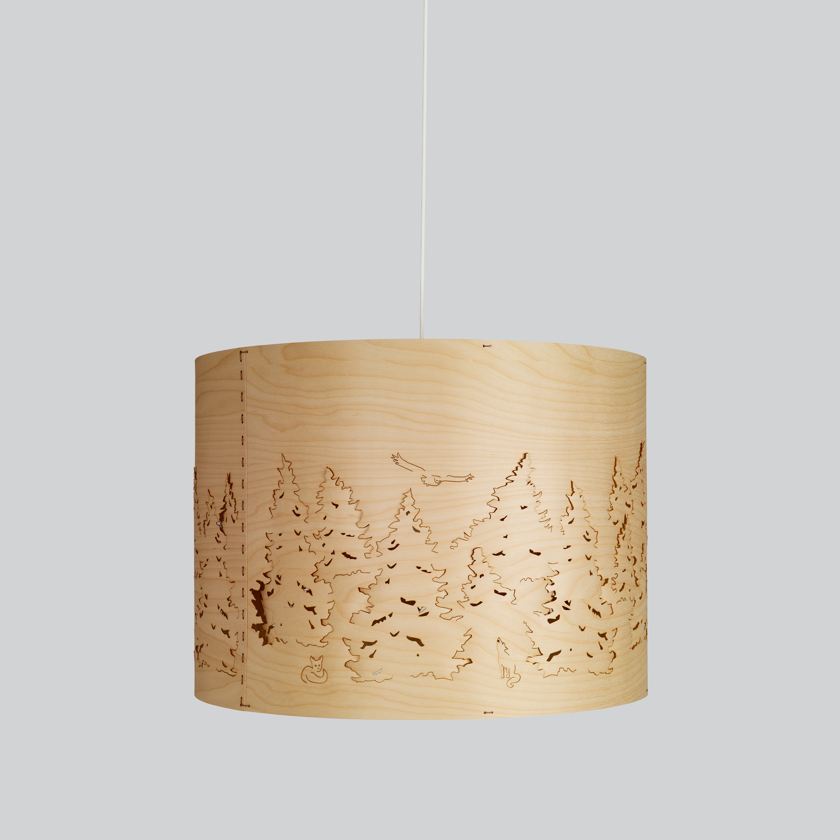 Afficher le produit Norwegian Forest du fabricant Northern