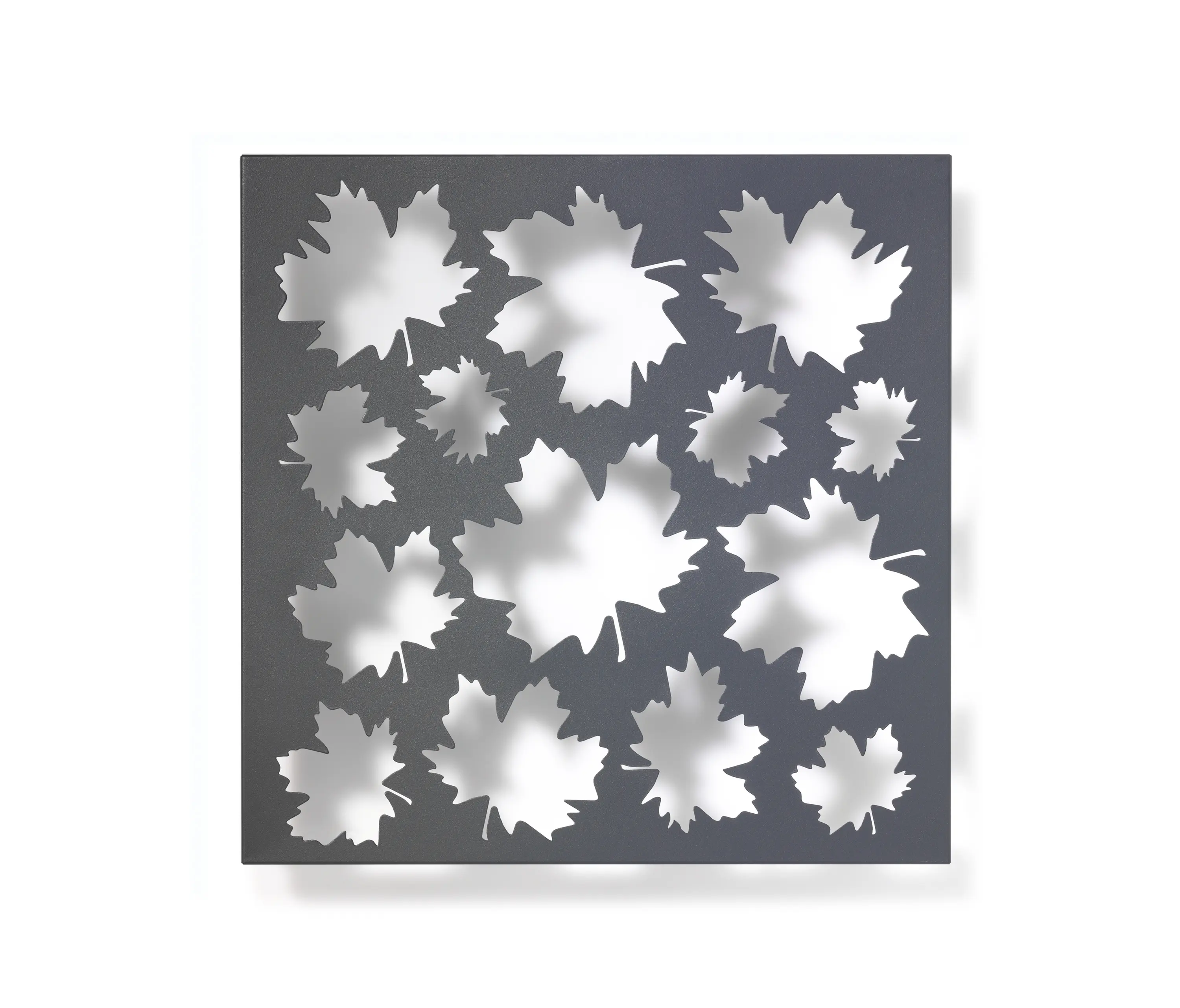 FLORA - Grow No. 37