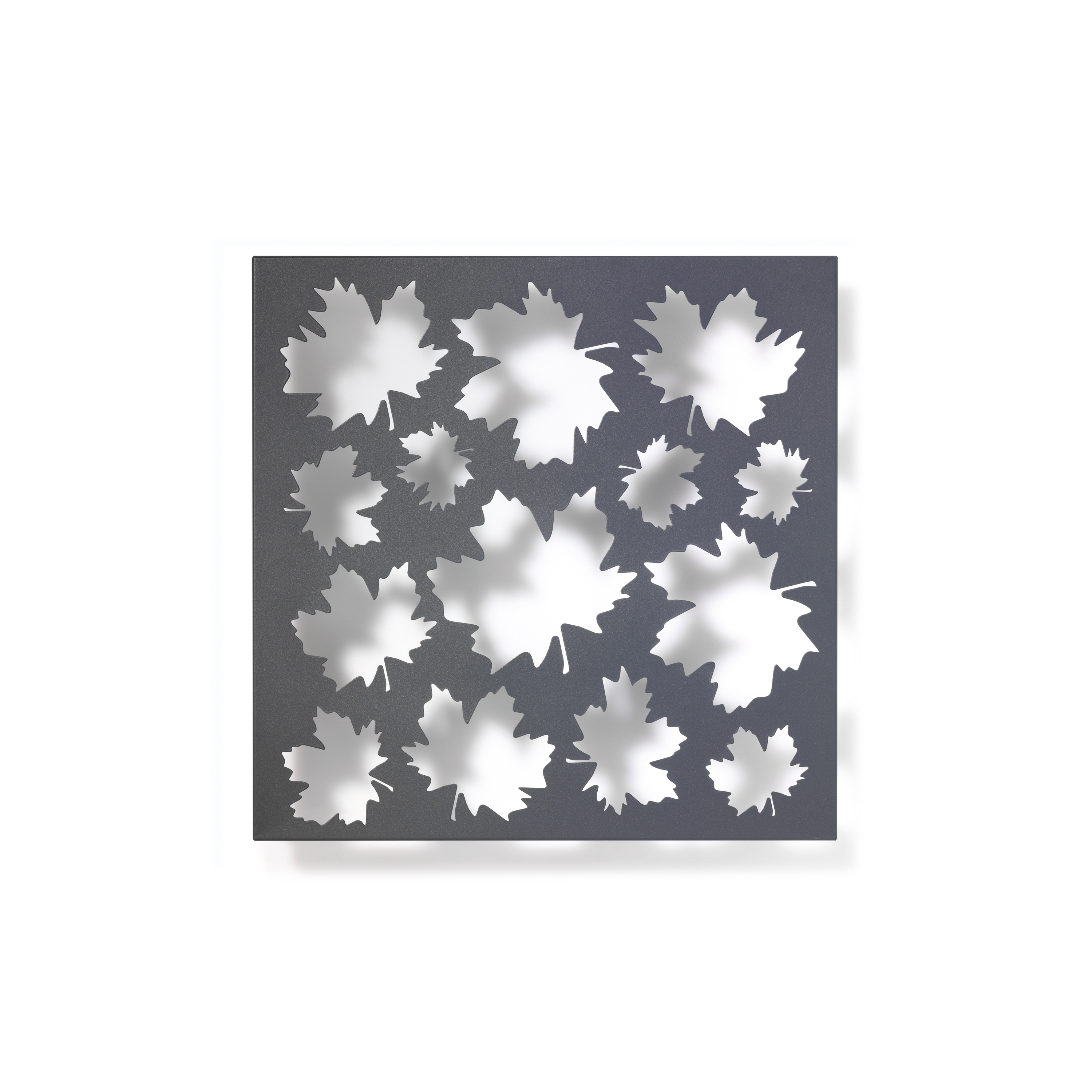 Display product Grow No. 37 from manufacturer FLORA