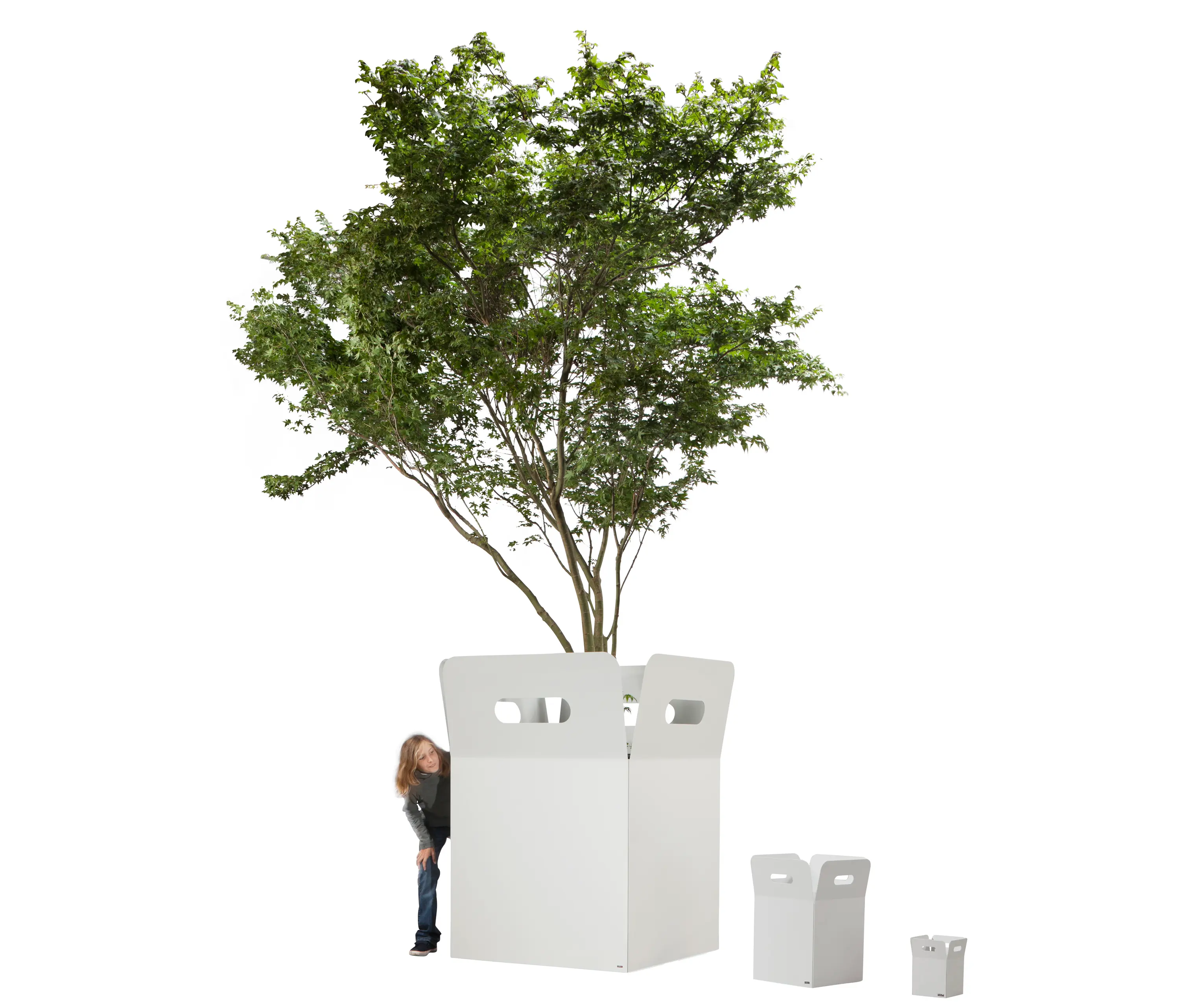 FLORA - Box Giant