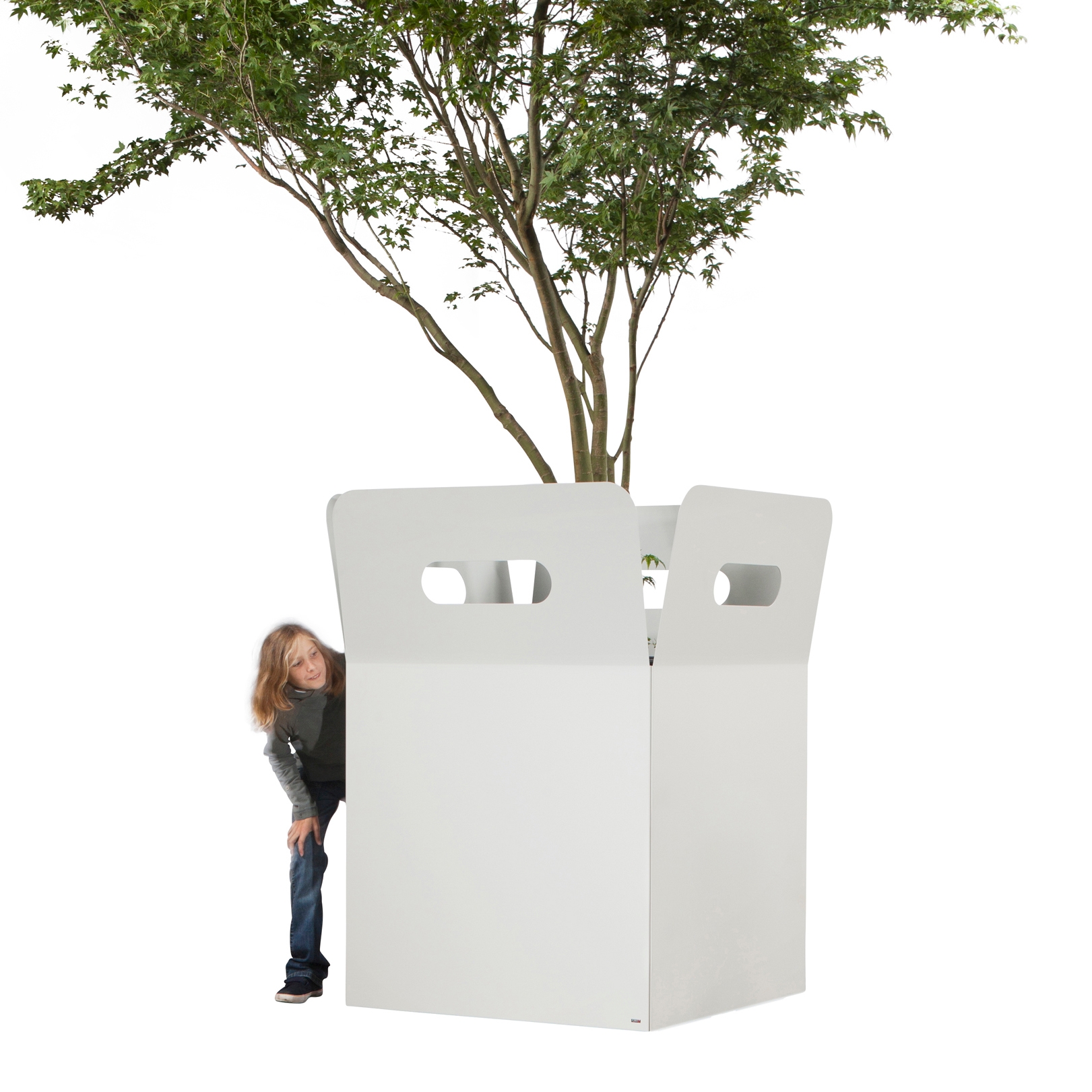 Box Giant