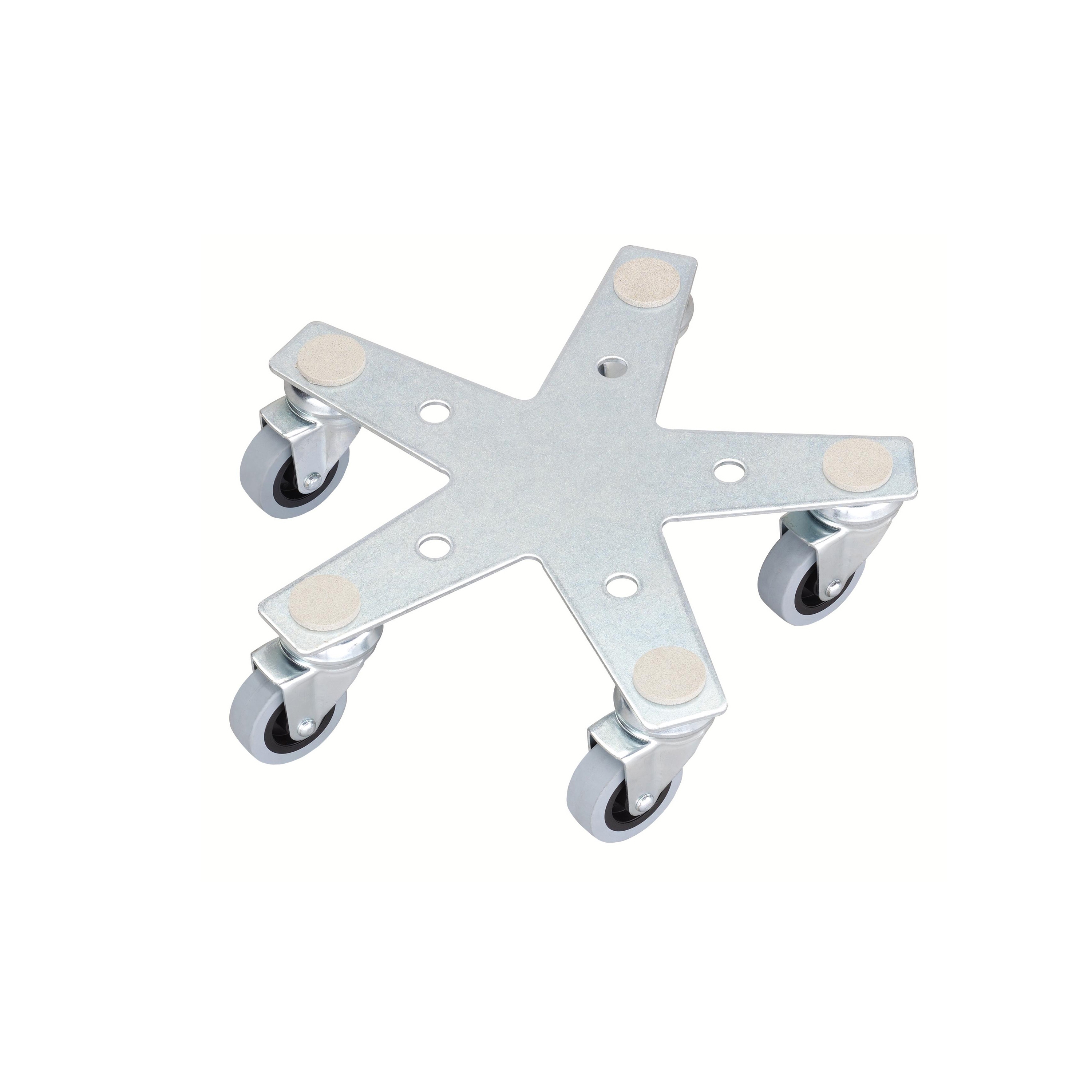 Display product Star from manufacturer FLORA