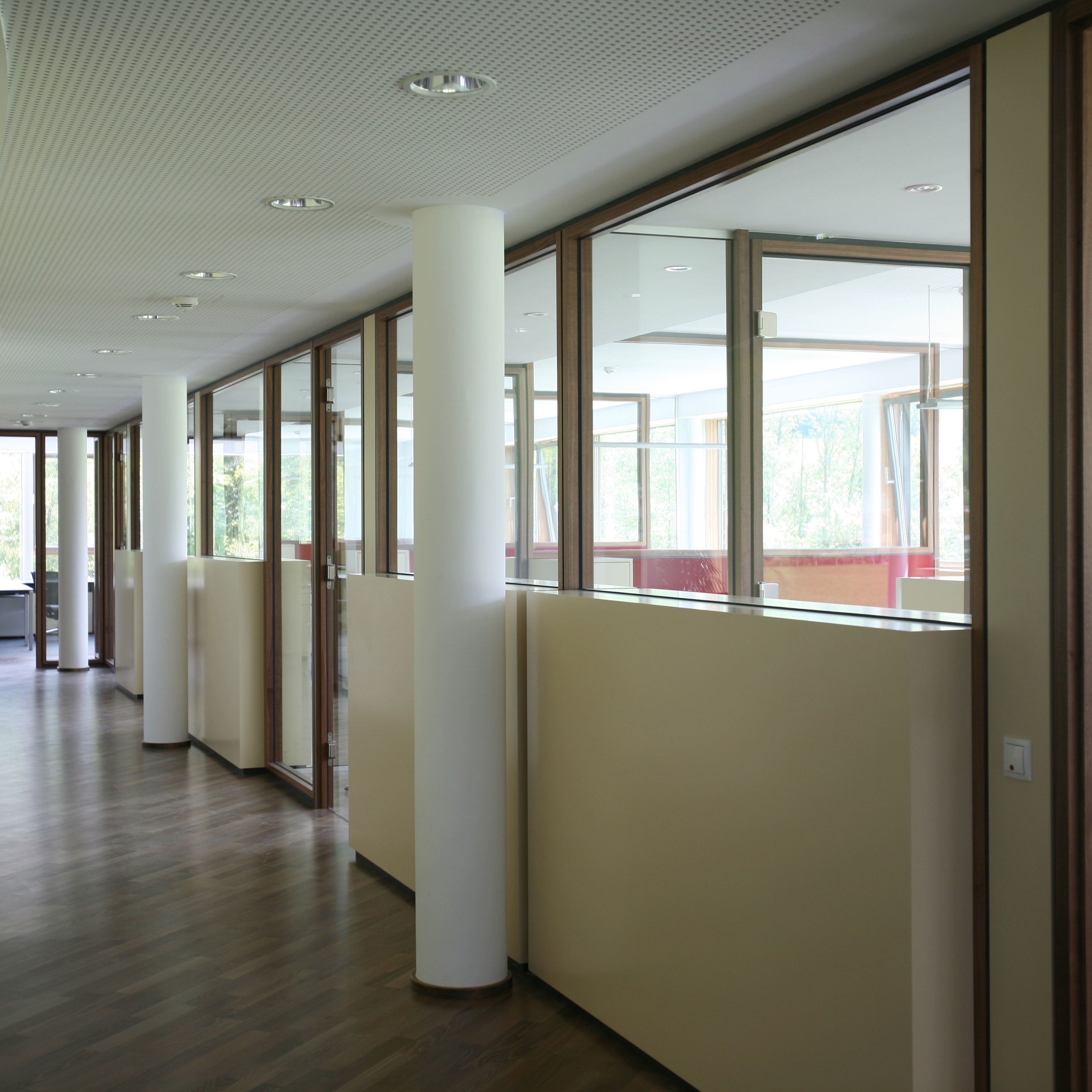 Display product TS1 Holz from manufacturer Scheicher.Wand