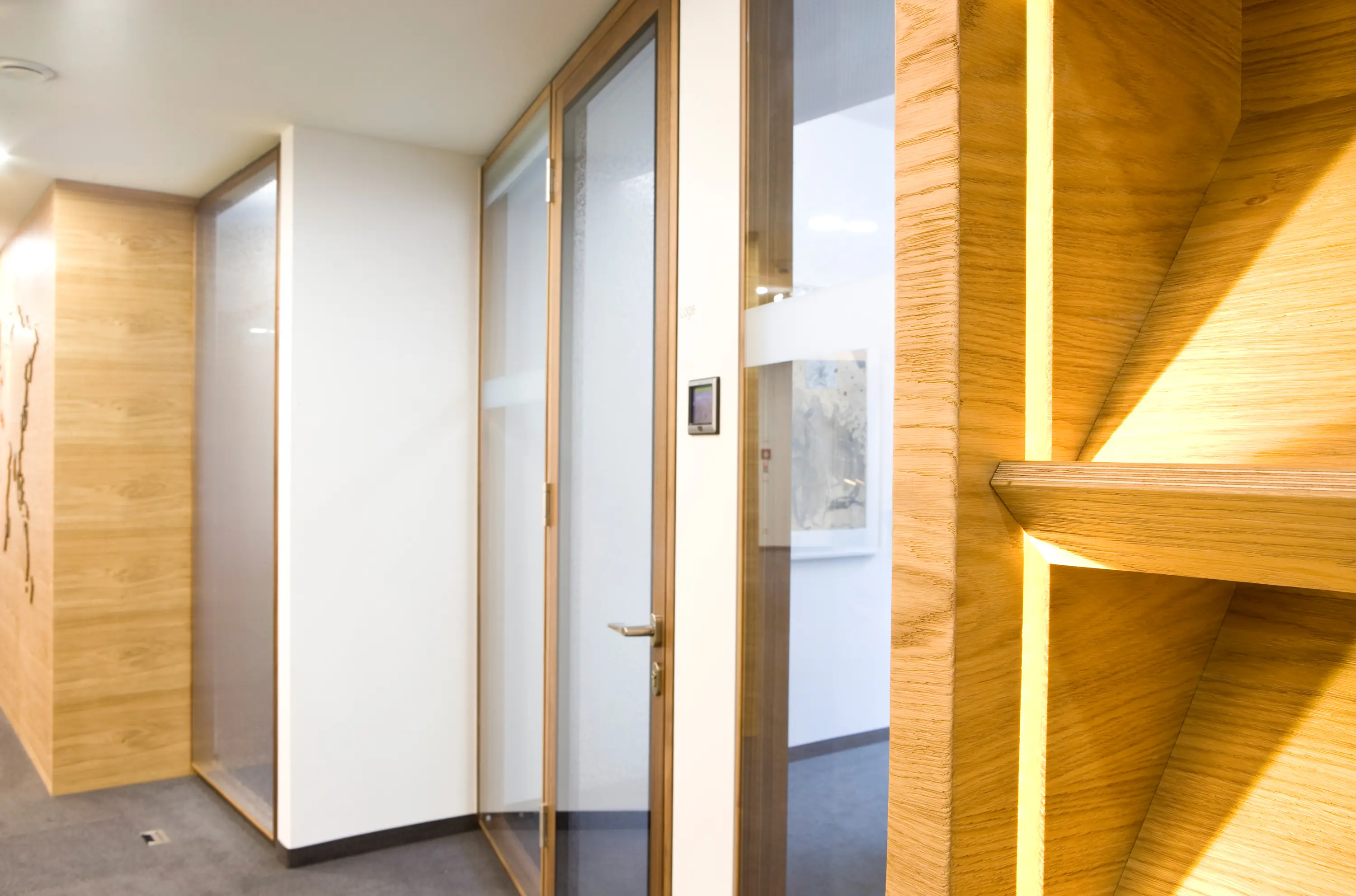 Scheicher.Wand - TS2 FLR