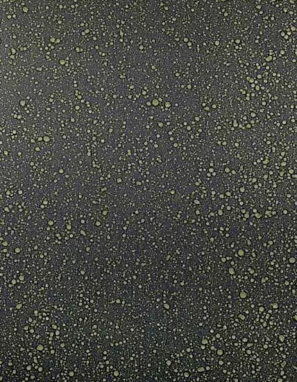 Homapal - 838/072 Alu Orbit Schwarz/Gold