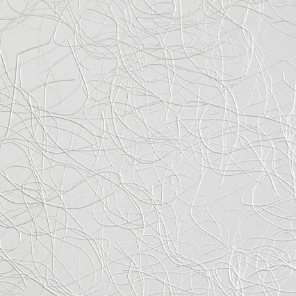 Produkt 820/300 Alu Matt Curls des Herstellers Homapal anzeigen