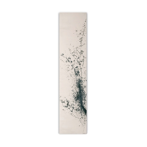 Display product Velvet from manufacturer CINIER