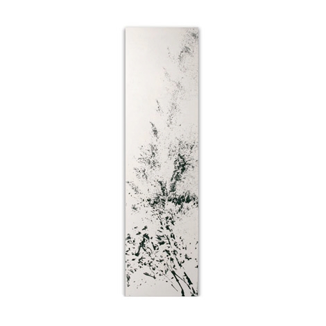 Display product Cotton from manufacturer CINIER