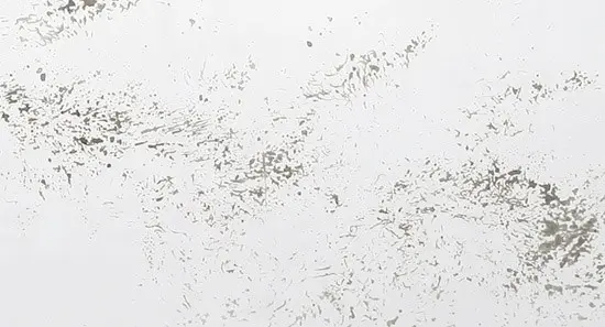 CINIER - Cotton