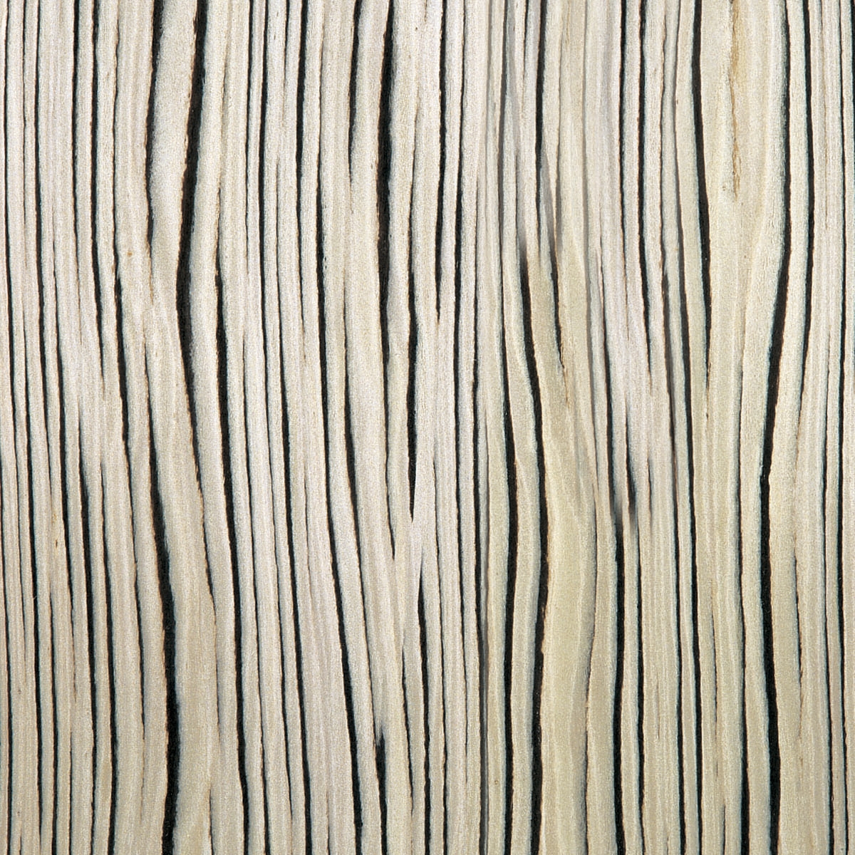 Mostra il prodotto 63504 White Macassar Straight Grain del produttore Treefrog Veneer
