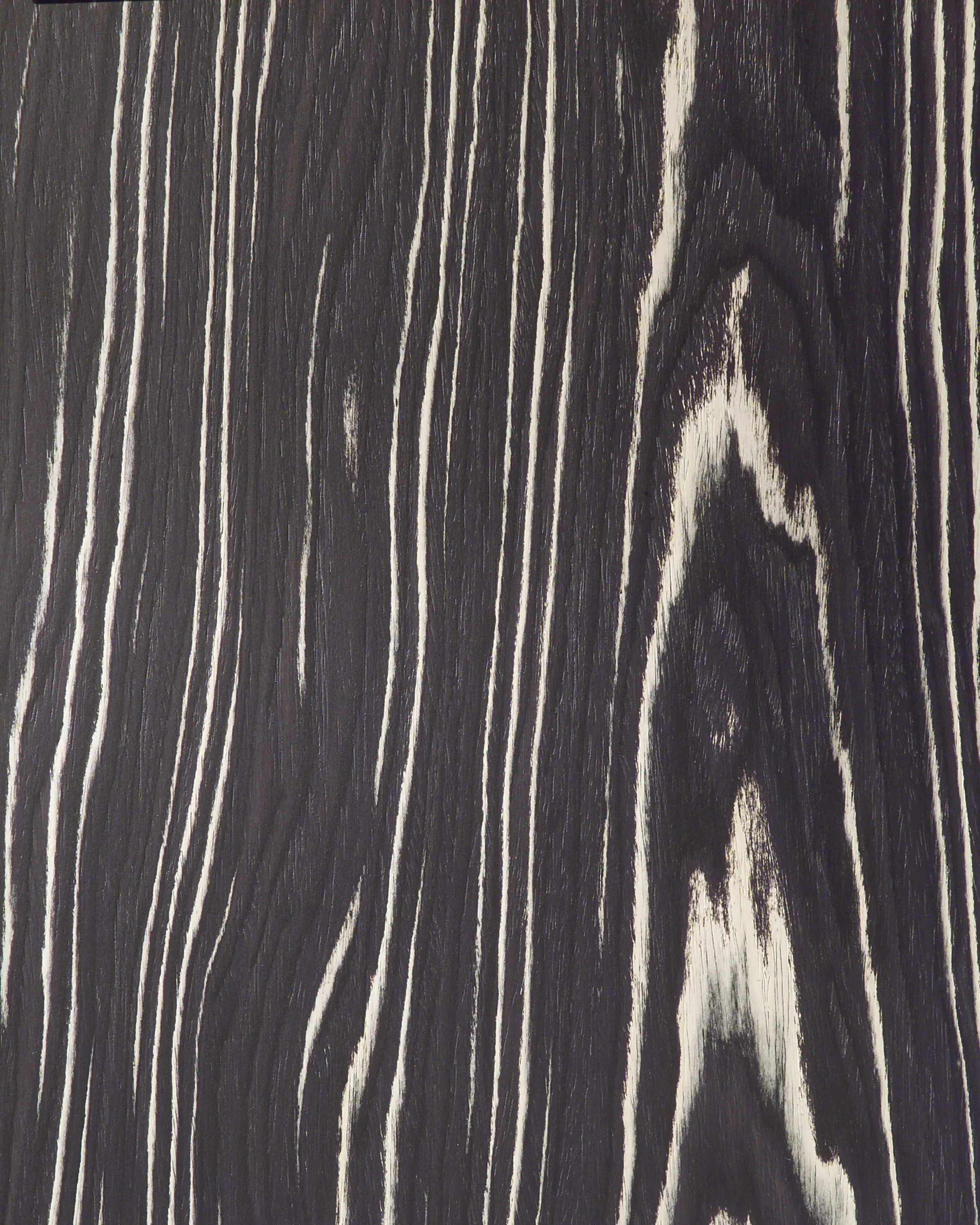 Treefrog Veneer - 62005 Macassar B/W