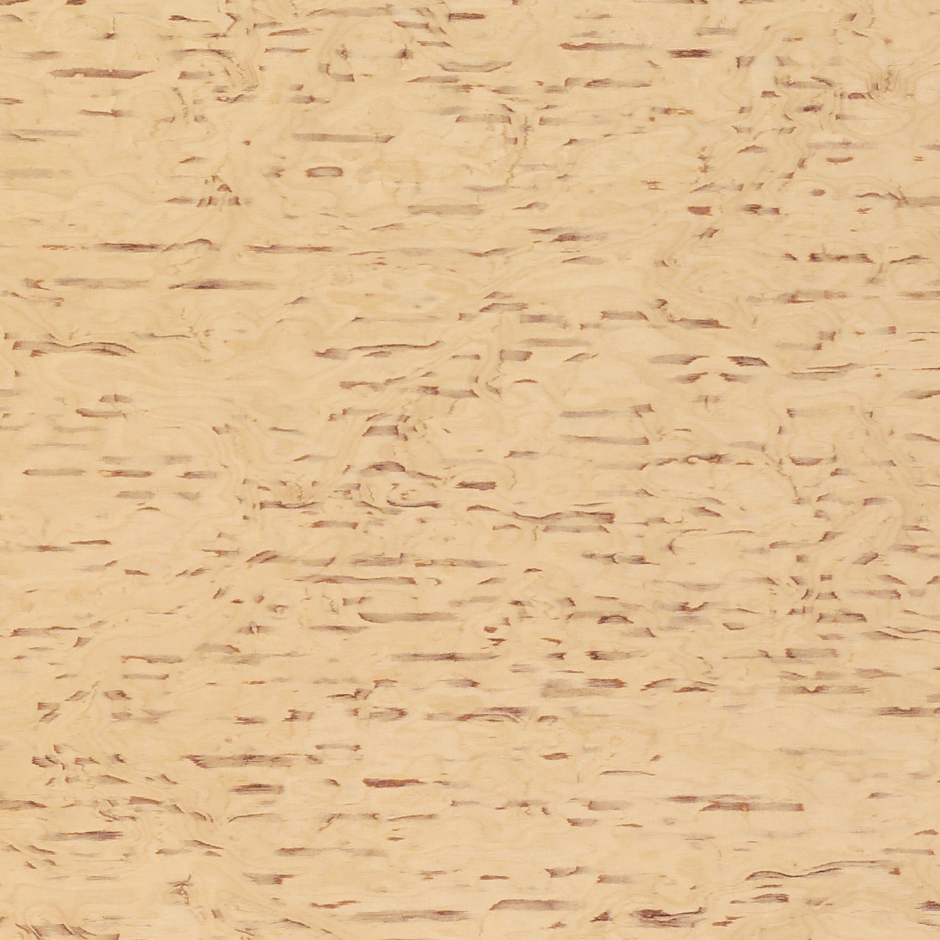 Mostra il prodotto 63804 Sierra Birch Figured del produttore Treefrog Veneer