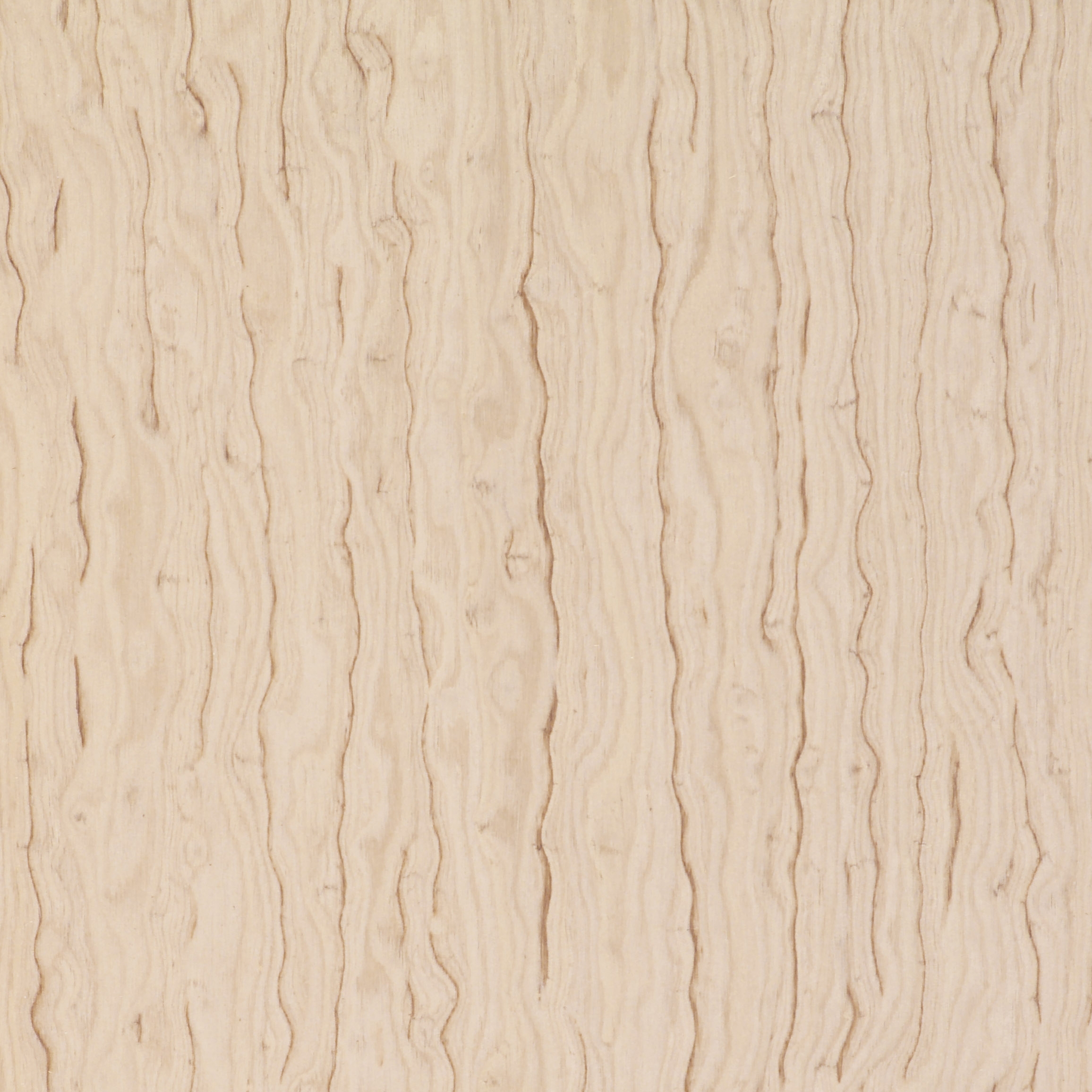 Mostra il prodotto 62807 Silver Ash Figured del produttore Treefrog Veneer