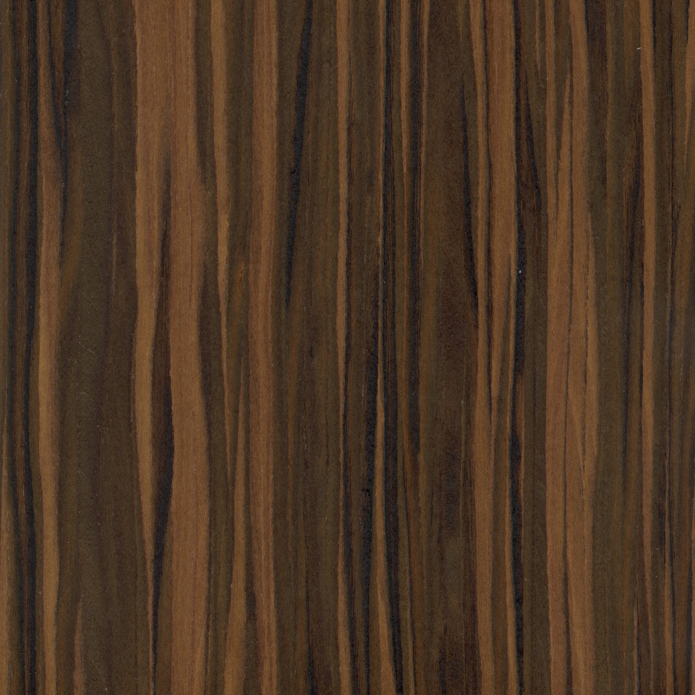 Display product 64204 Ebony Safari from manufacturer Treefrog Veneer