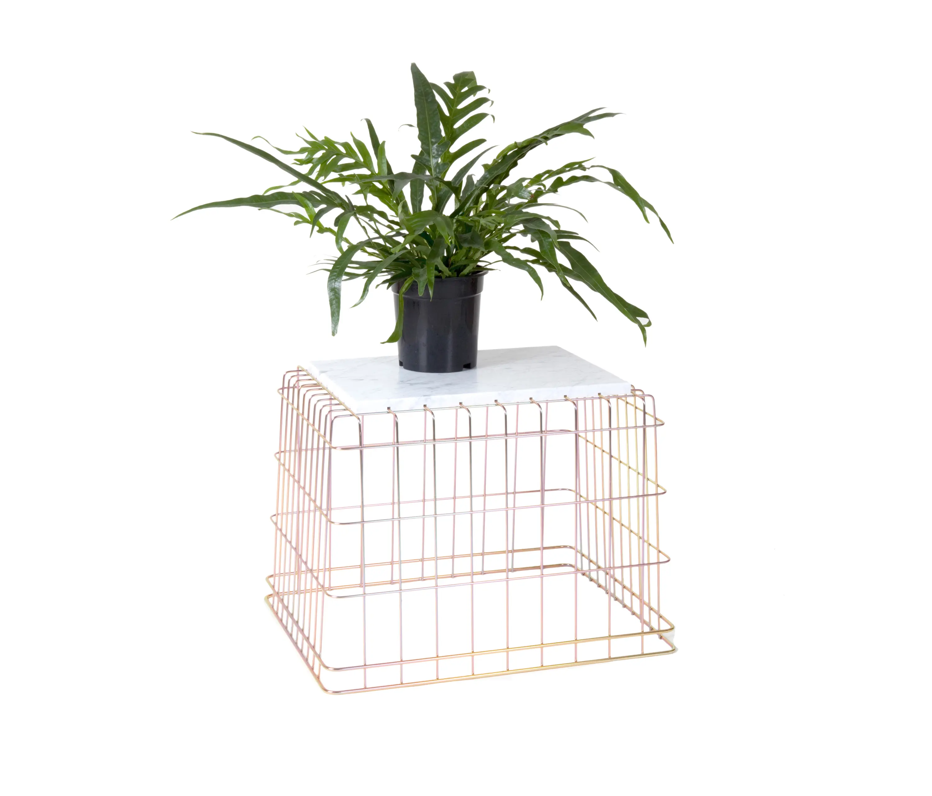 llot llov - Grit table