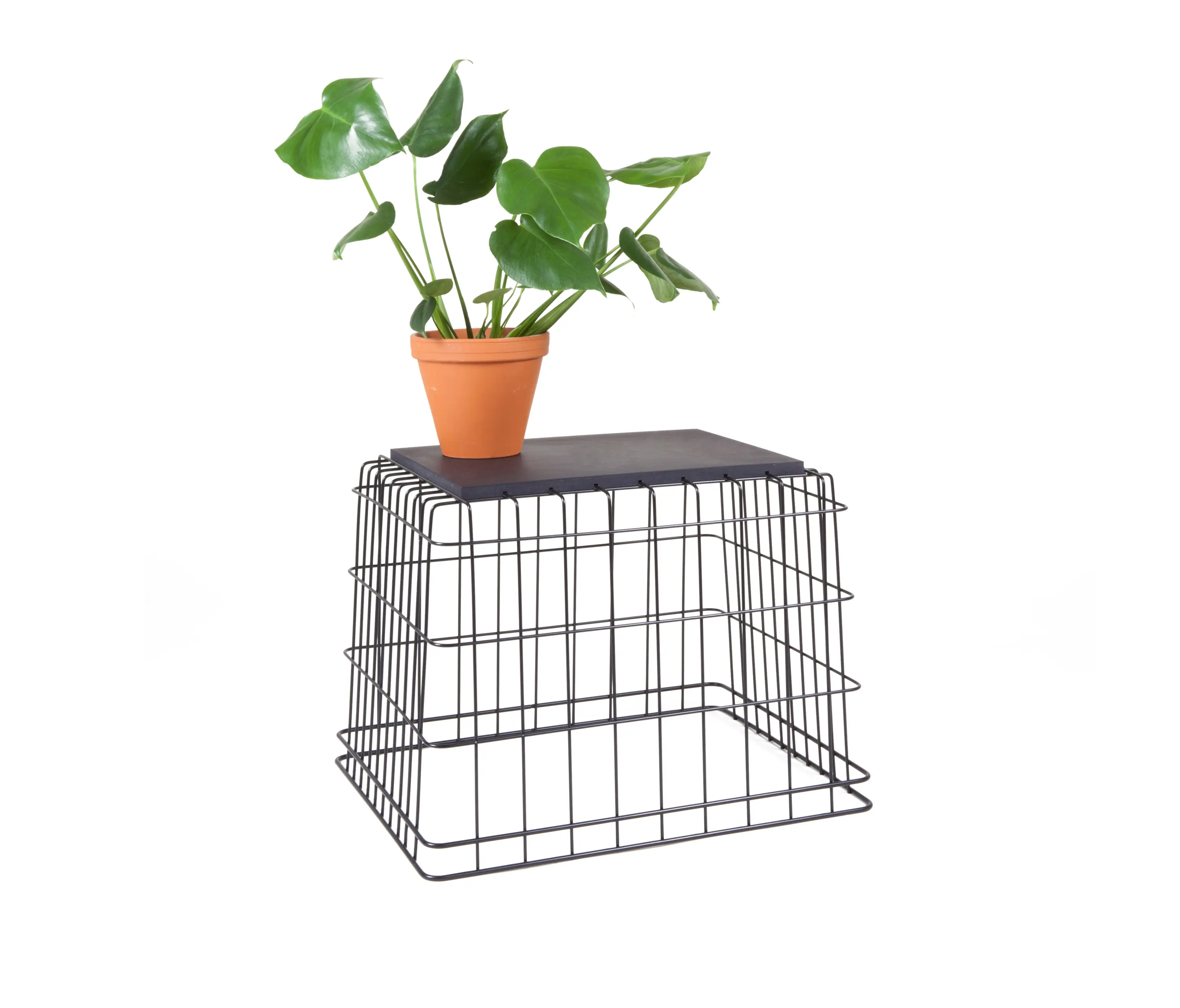 llot llov - Grit table