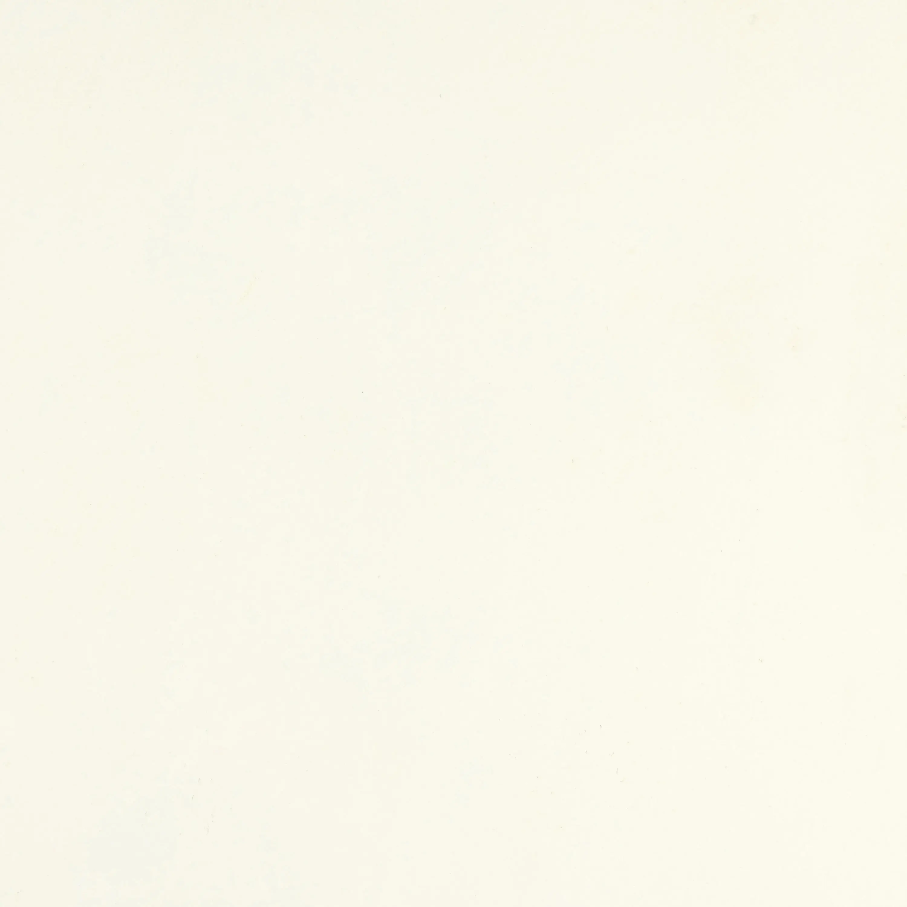 PANDOMO - PANDOMO W1 2.0 - 17/1.2