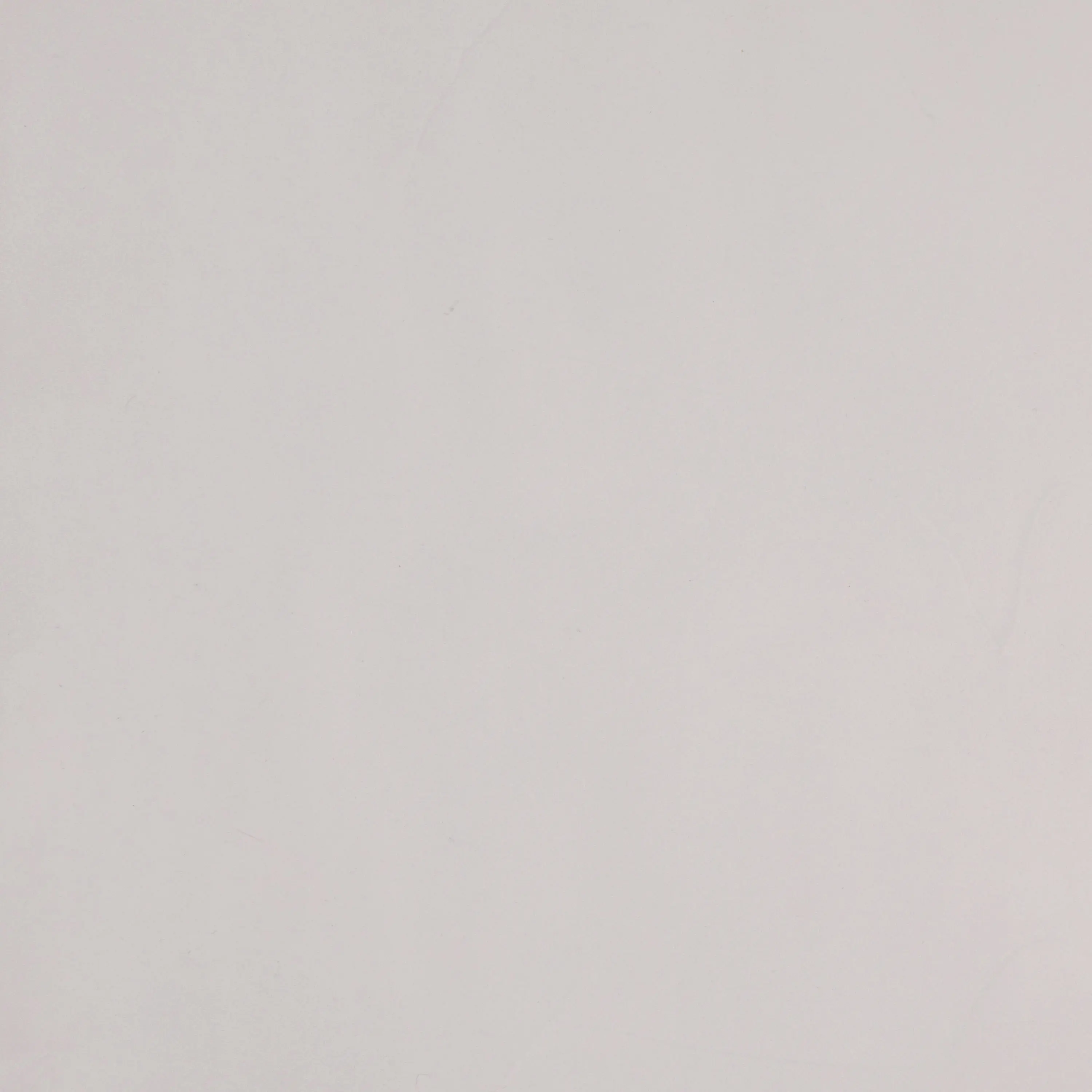 PANDOMO - PANDOMO W1 2.0 - 17/2.1