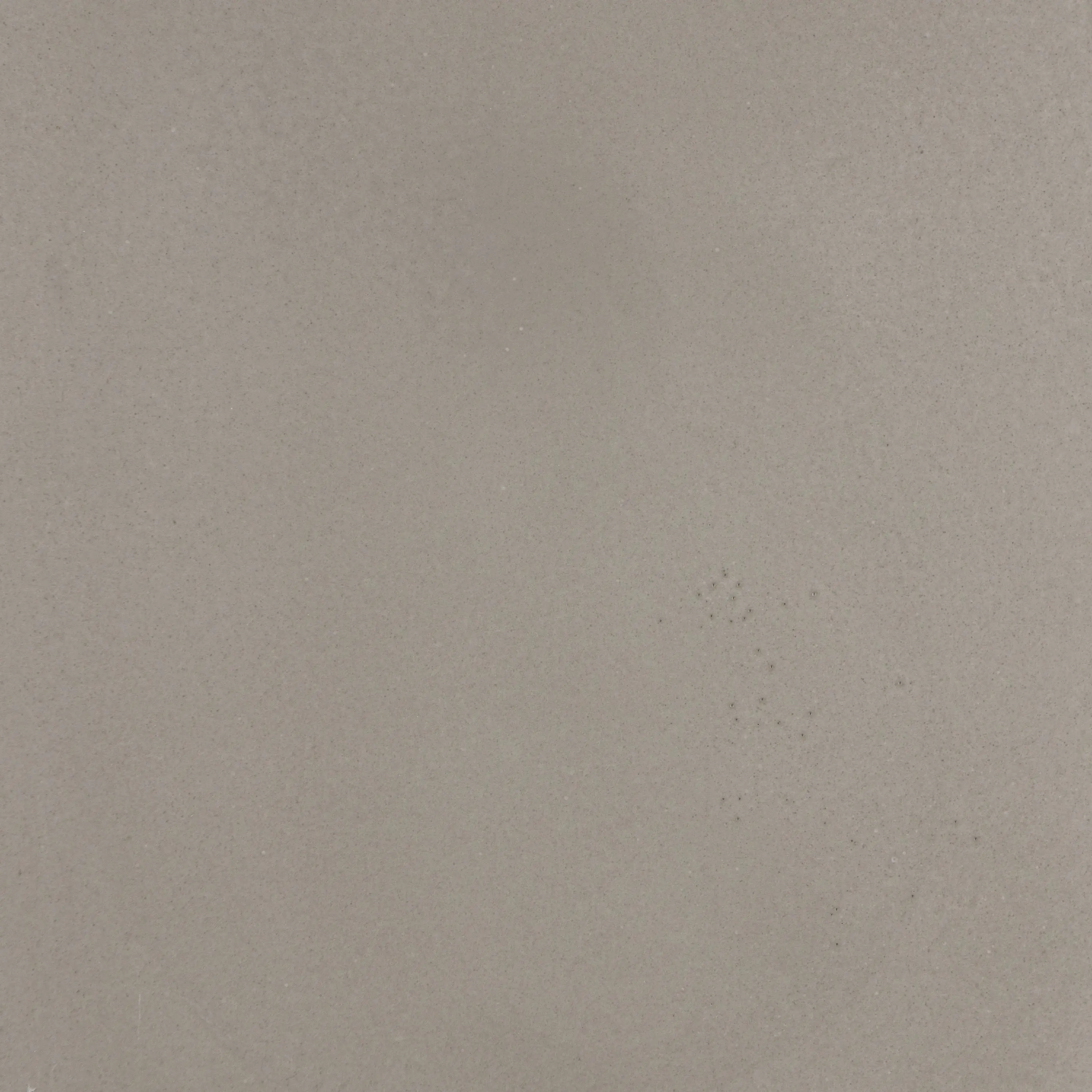 PANDOMO - PANDOMO W1 2.0 - 17/3.1 b
